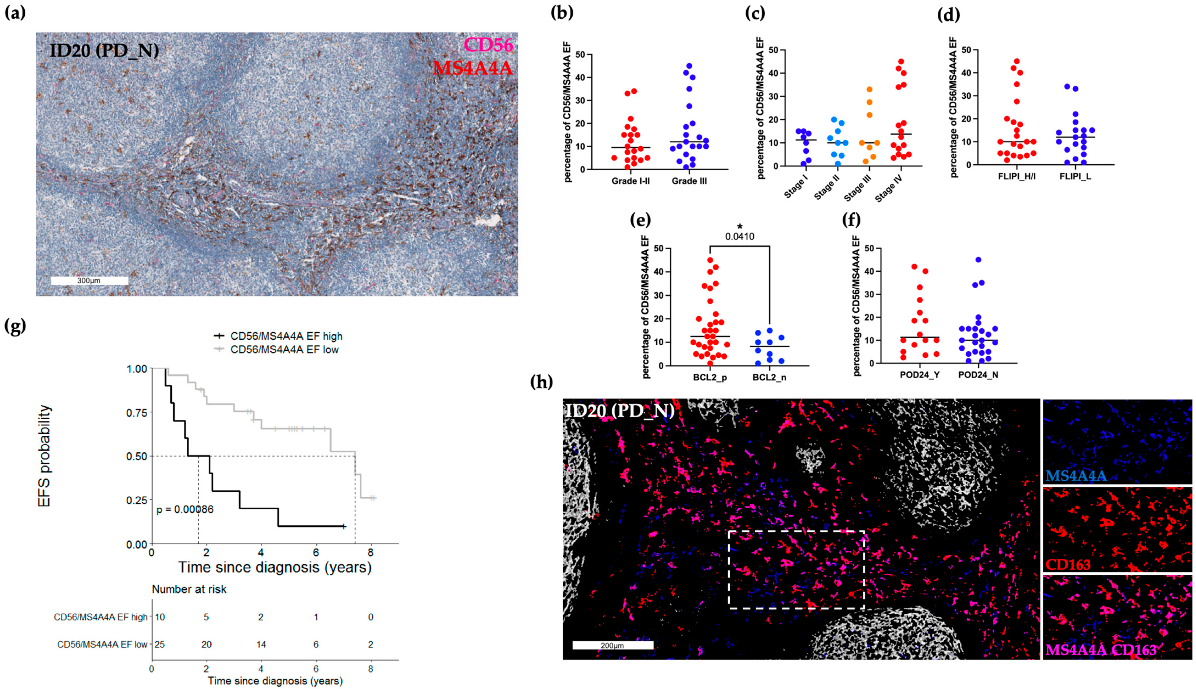 Ijms 24 09909 g005 Ijms 24 09909 g005