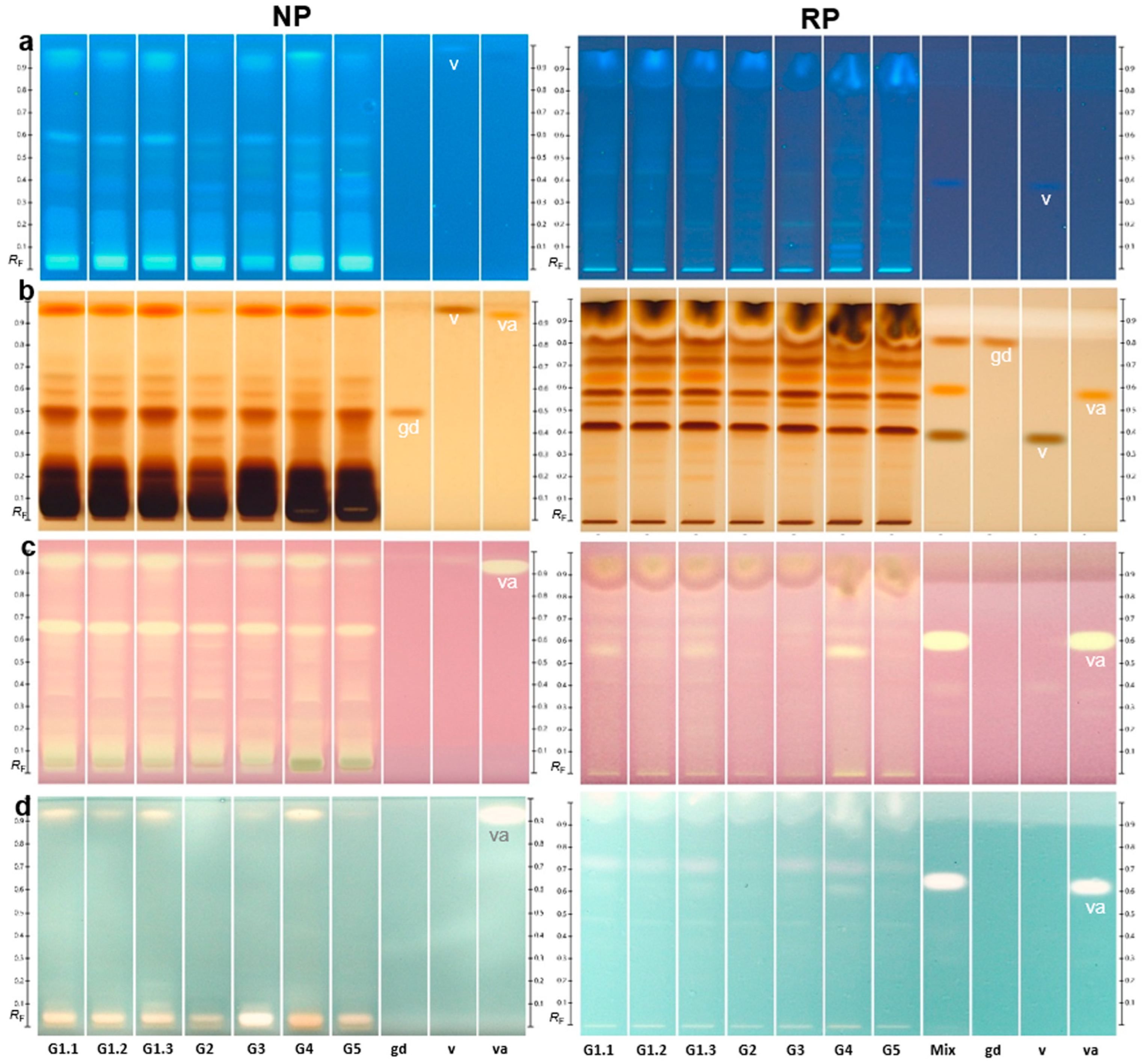 Ijms 24 09936 g001 Ijms 24 09936 g001