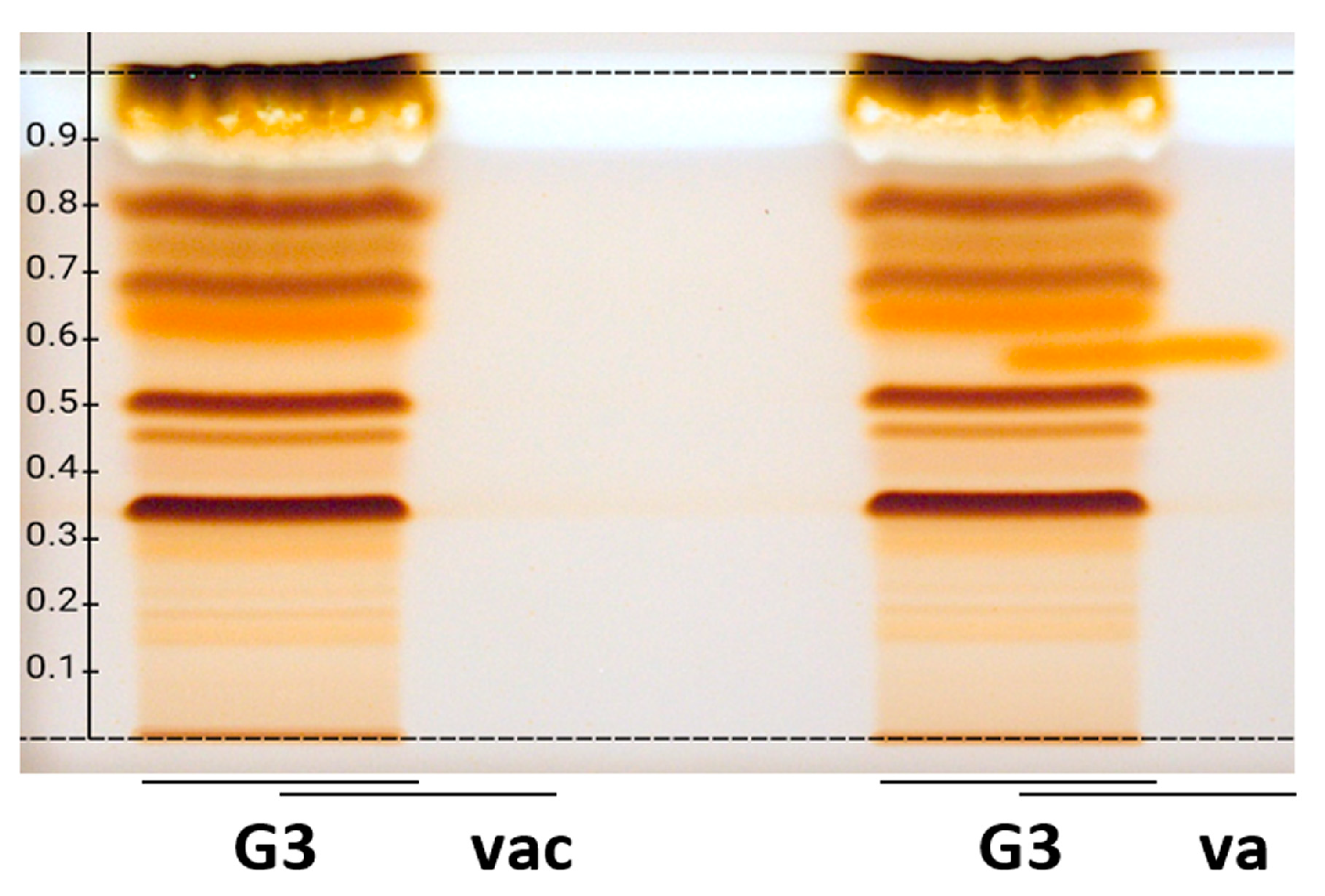 Ijms 24 09936 g002 Ijms 24 09936 g002