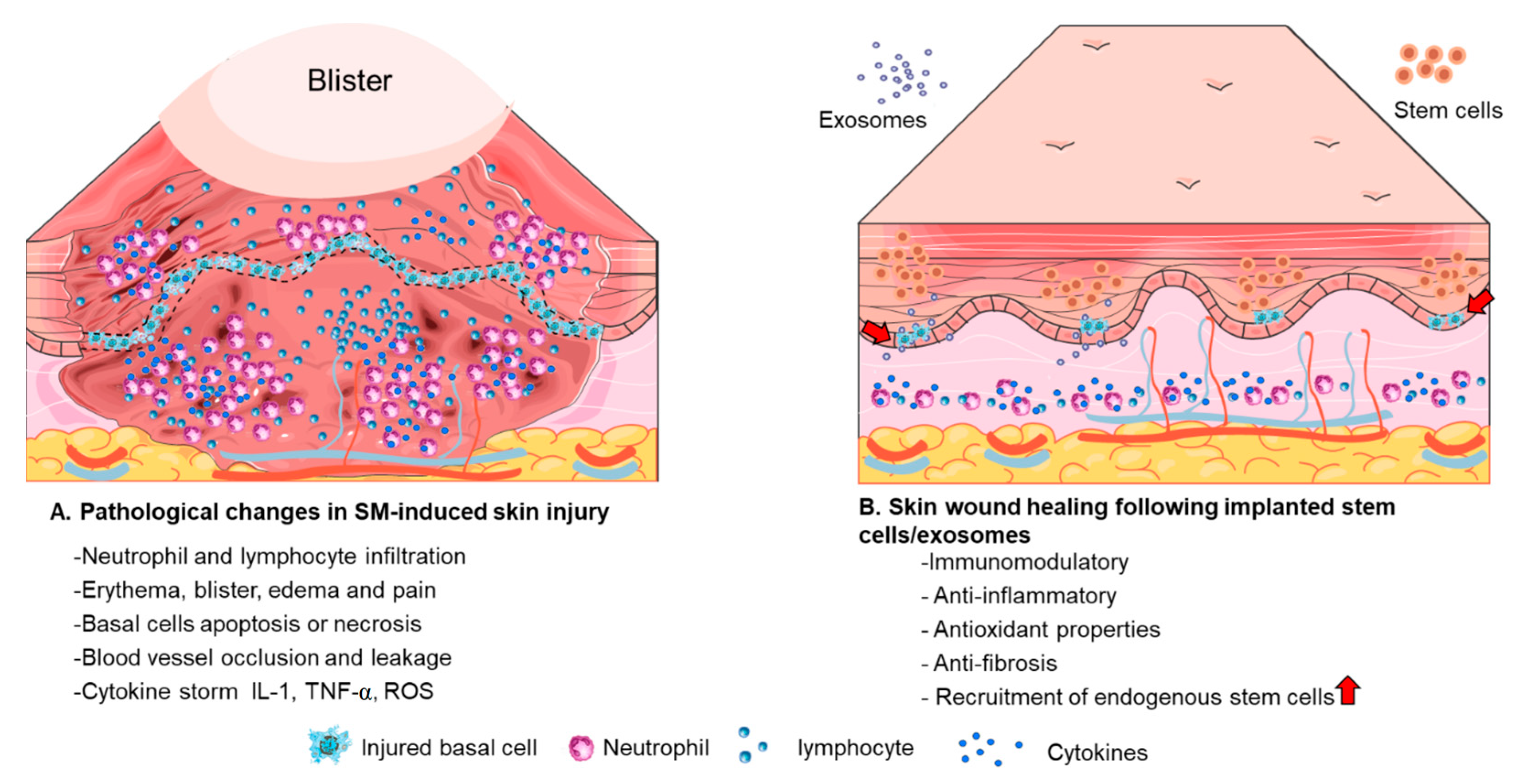 Ijms 24 09947 g001 Ijms 24 09947 g001