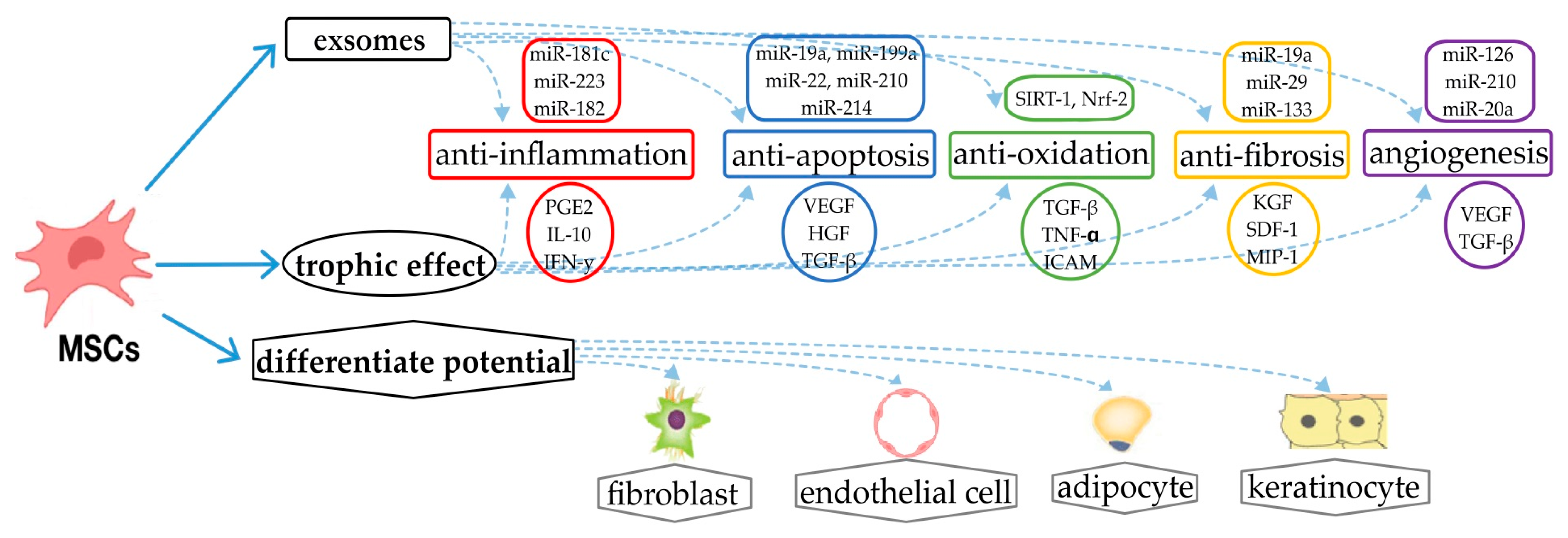 Ijms 24 09947 g002 Ijms 24 09947 g002