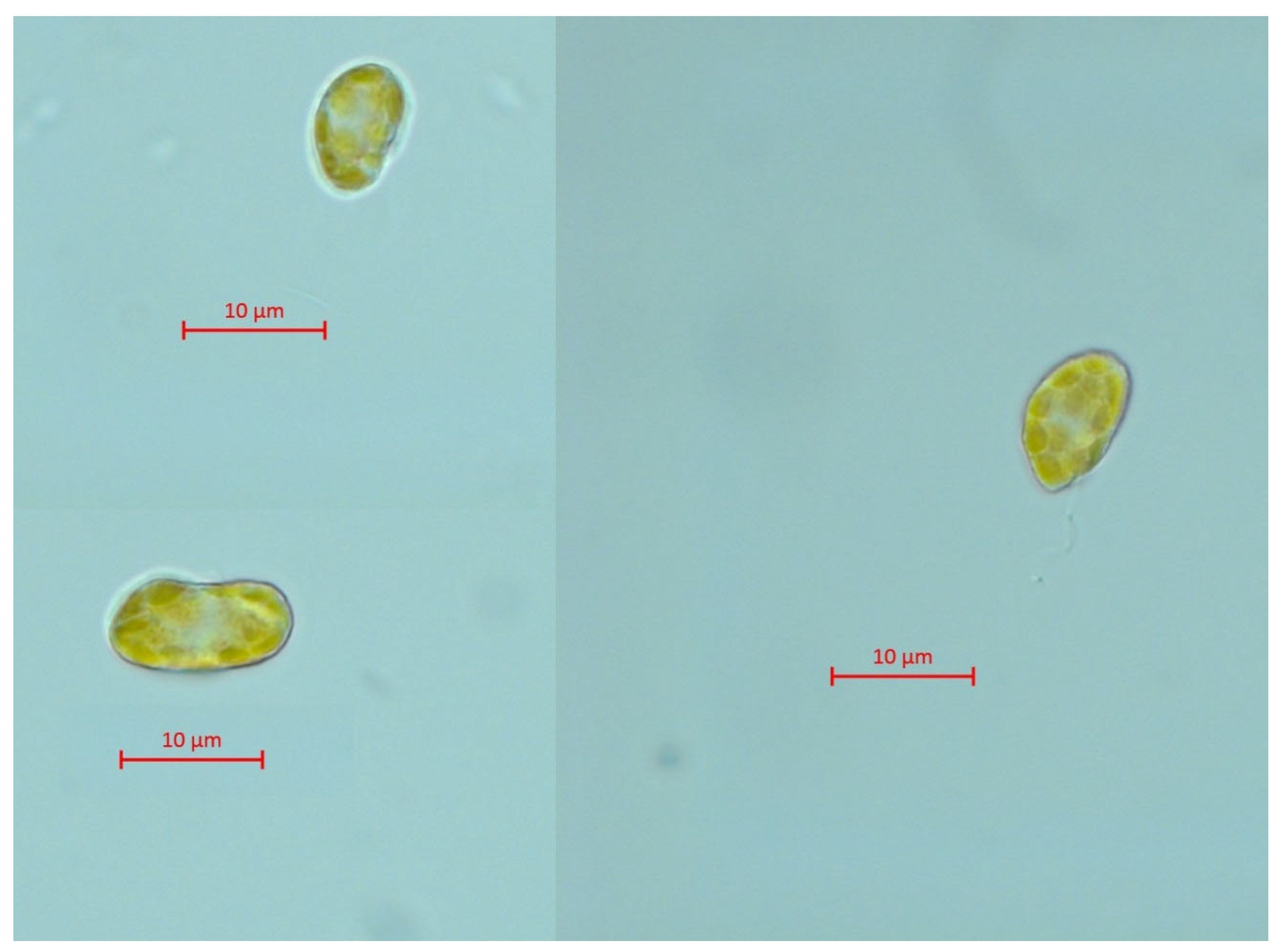 Ijms 24 10020 g002