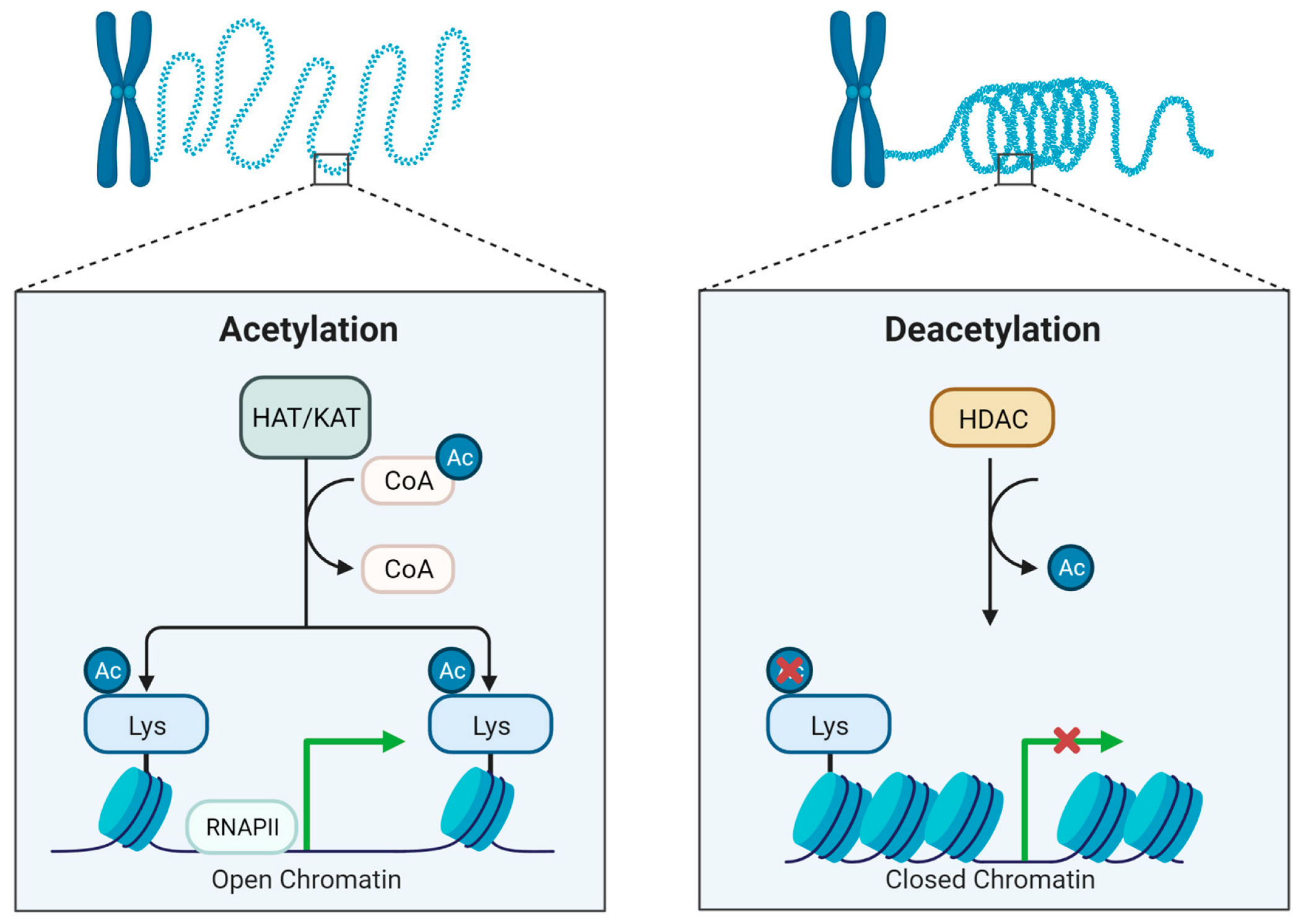Ijms 24 10038 g001 Ijms 24 10038 g001