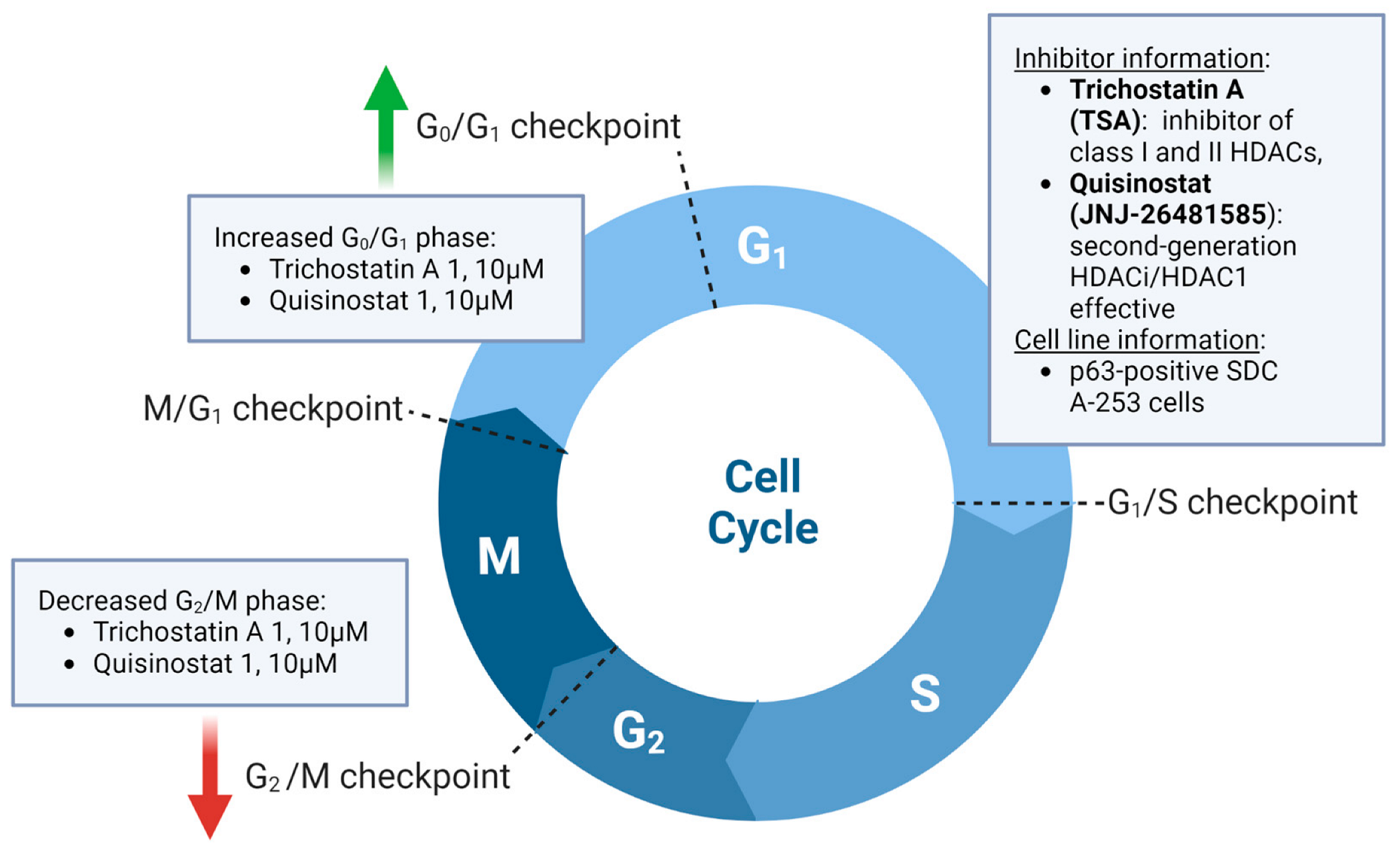 Ijms 24 10038 g002 Ijms 24 10038 g002