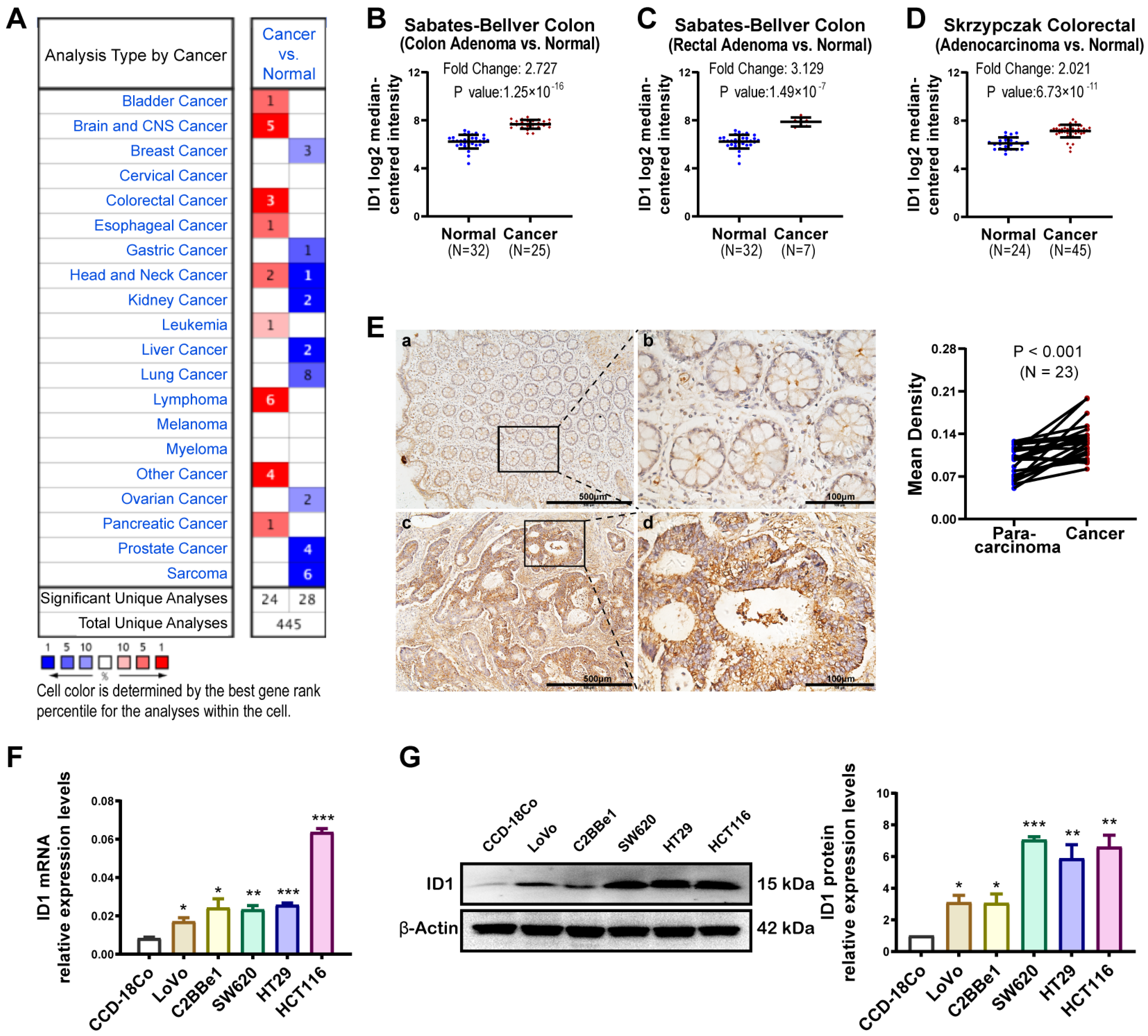 Ijms 24 10041 g001 Ijms 24 10041 g001