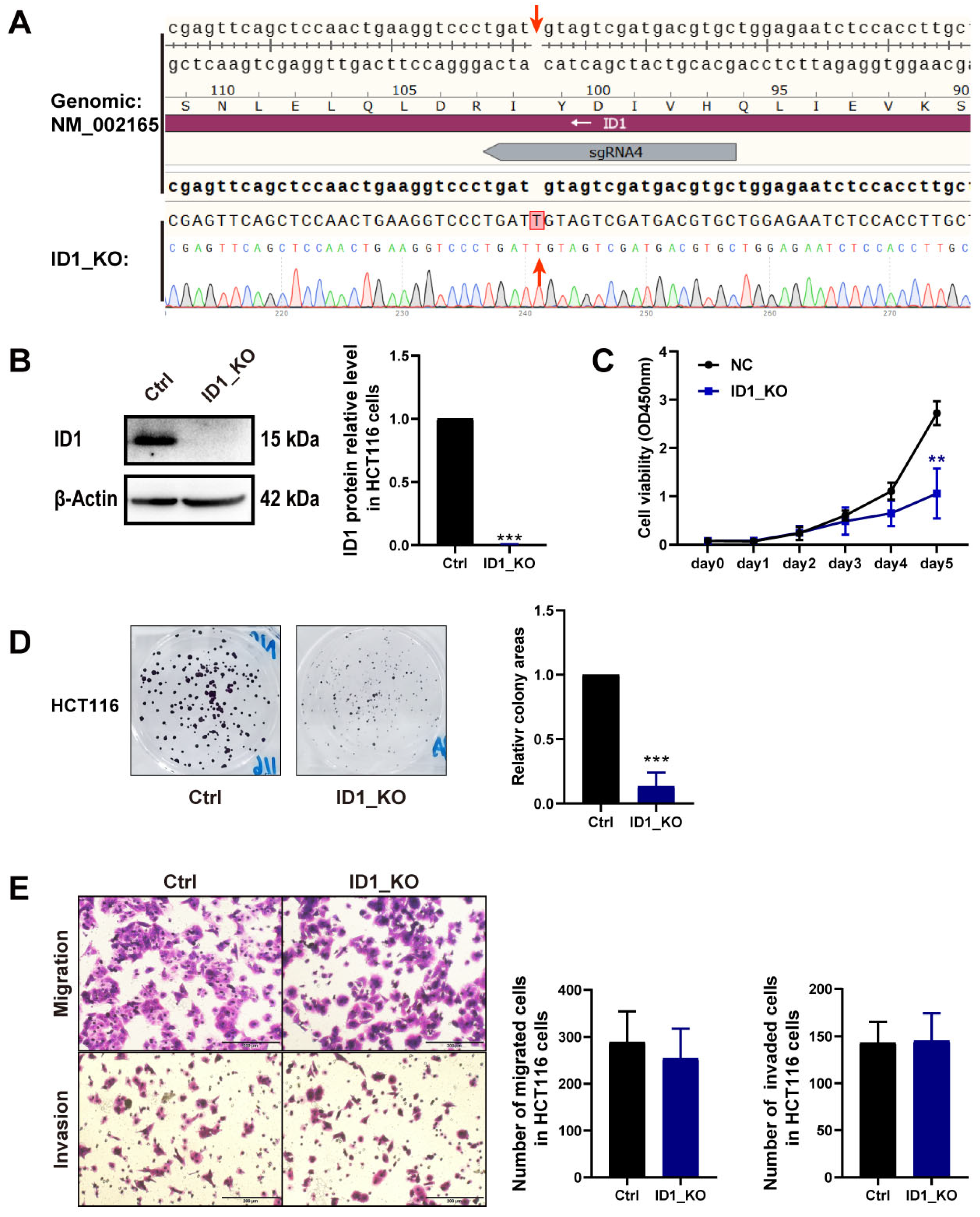 Ijms 24 10041 g002 Ijms 24 10041 g002
