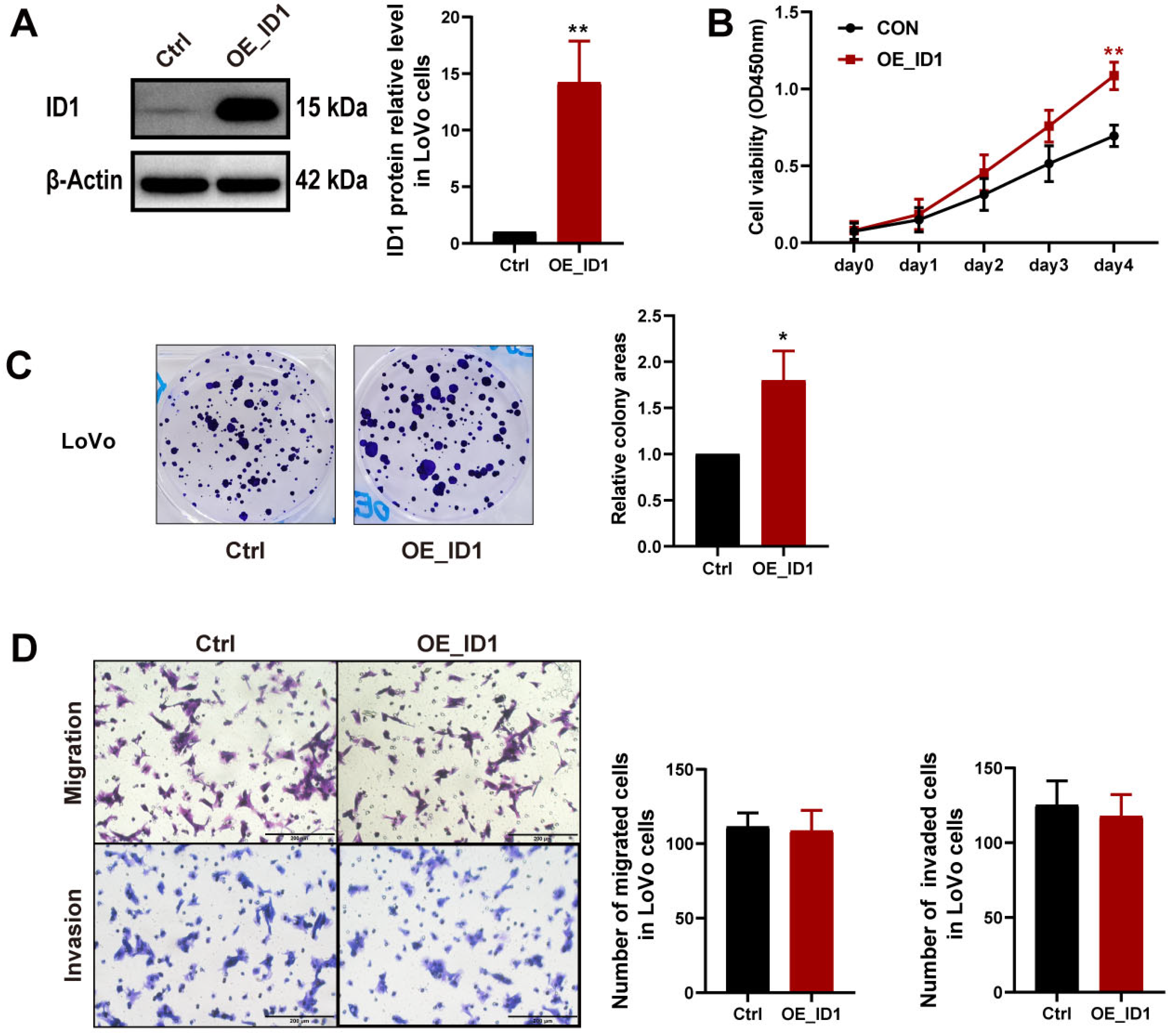Ijms 24 10041 g003 Ijms 24 10041 g003