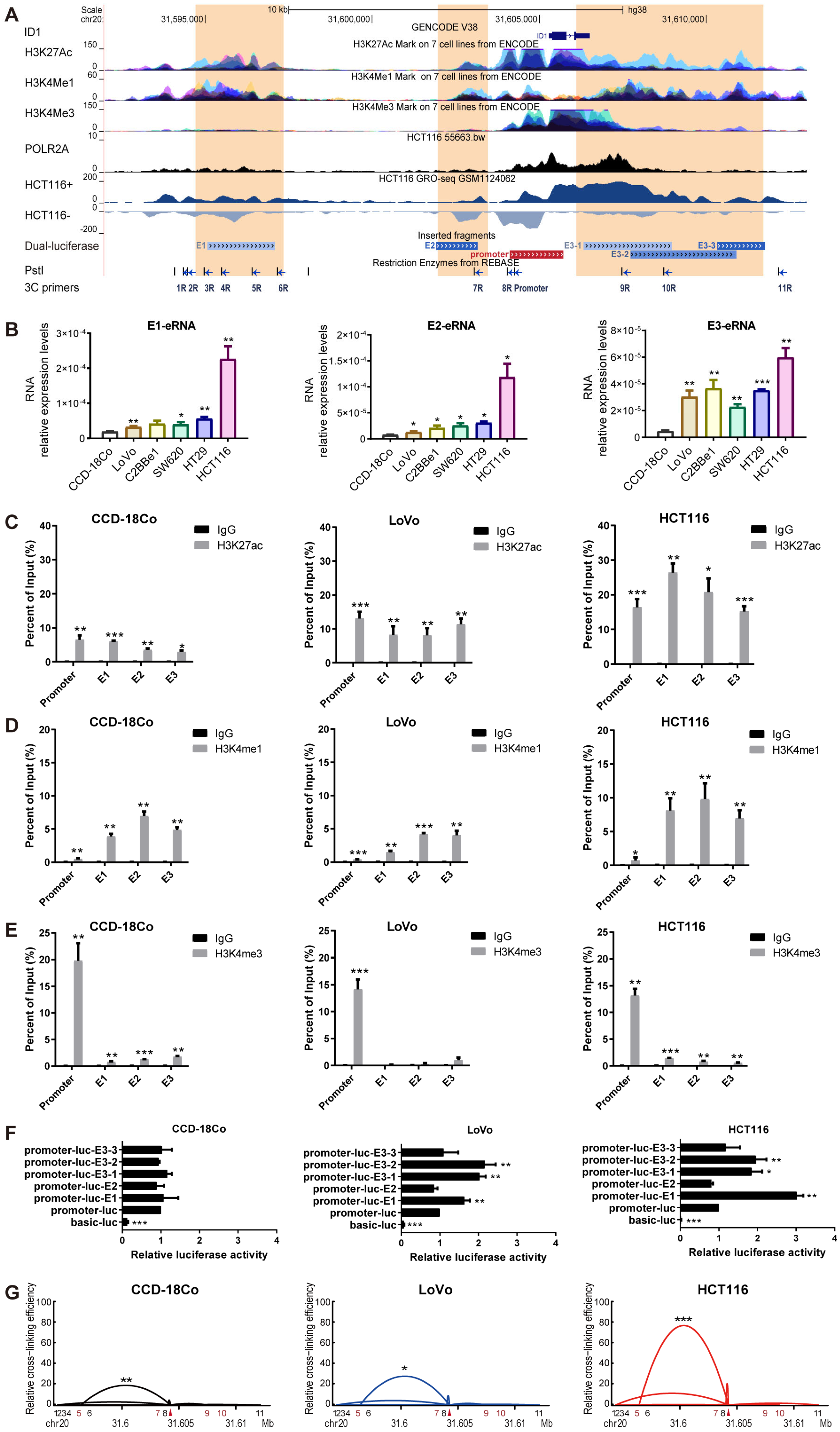 Ijms 24 10041 g004 Ijms 24 10041 g004