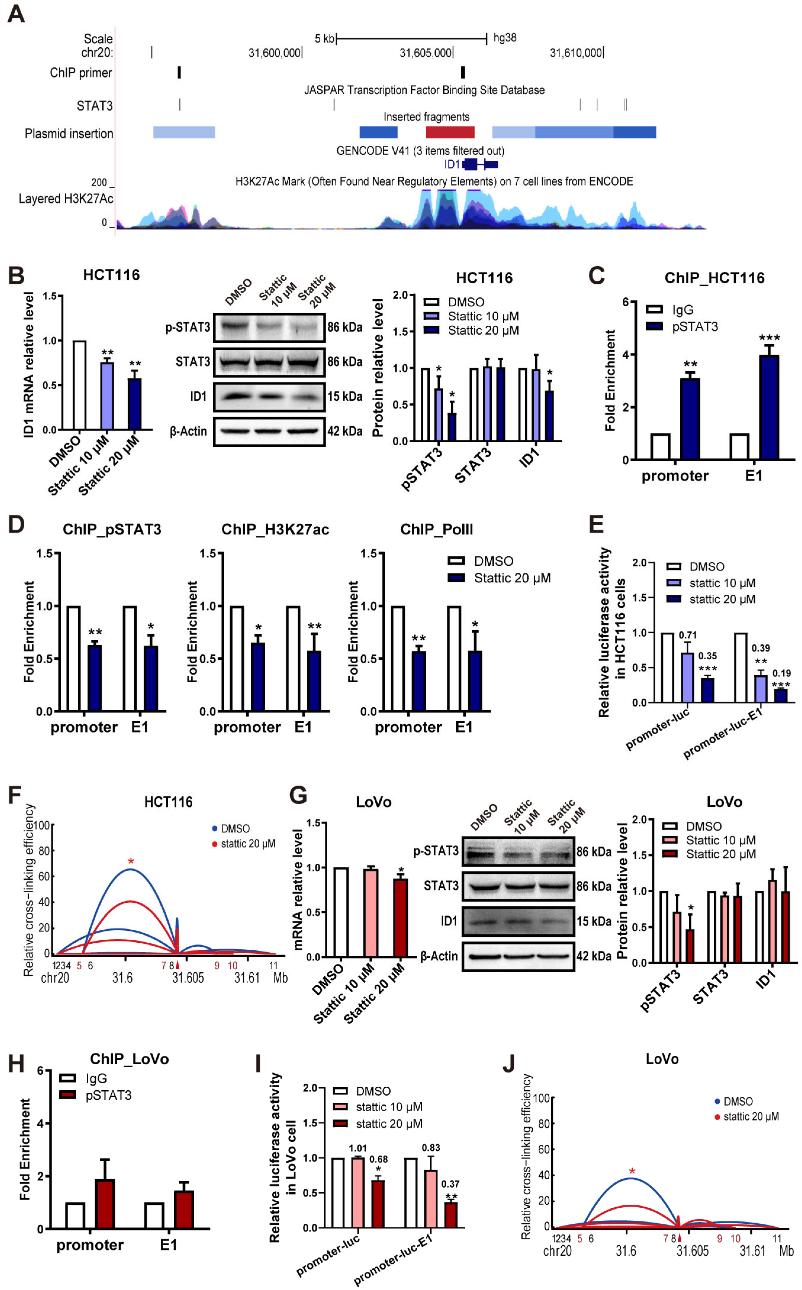 Ijms 24 10041 g005 Ijms 24 10041 g005