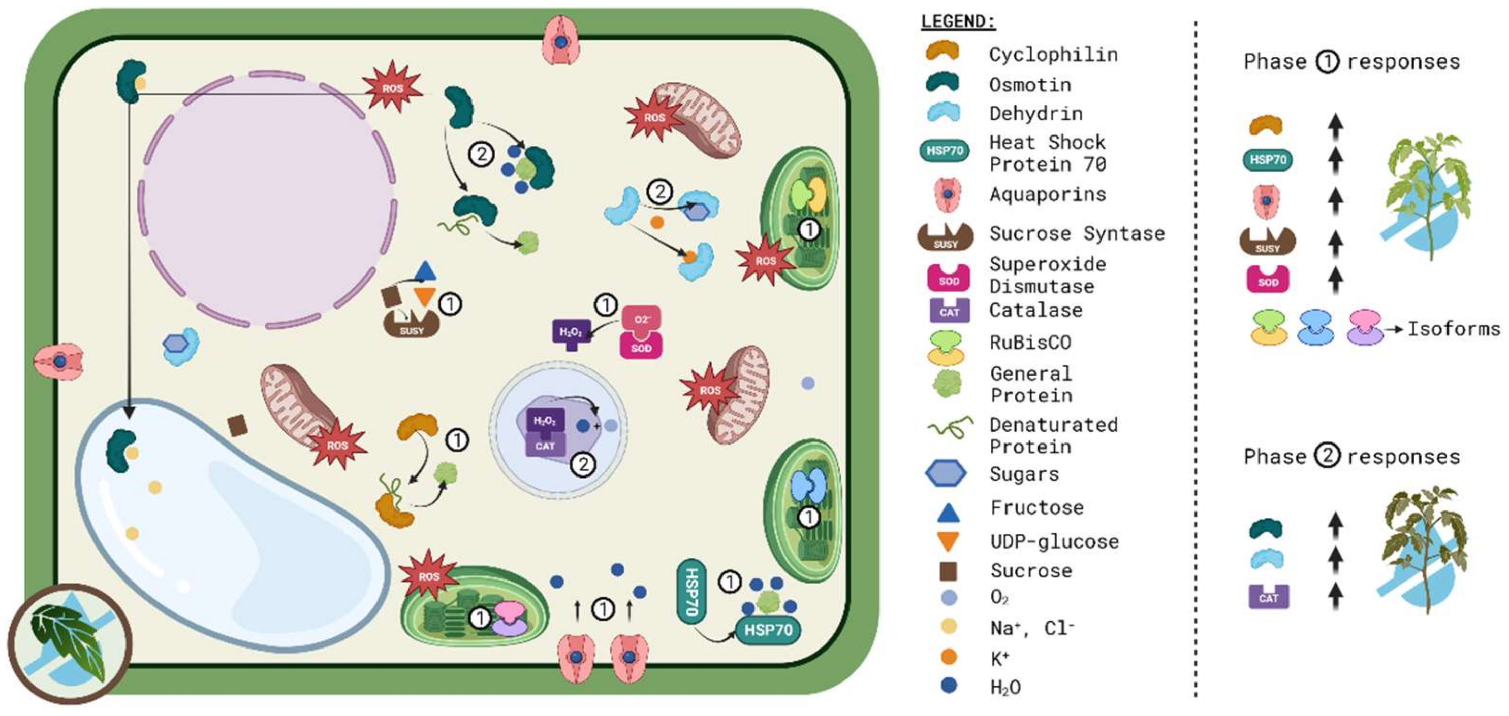 Ijms 24 10044 g002 Ijms 24 10044 g002