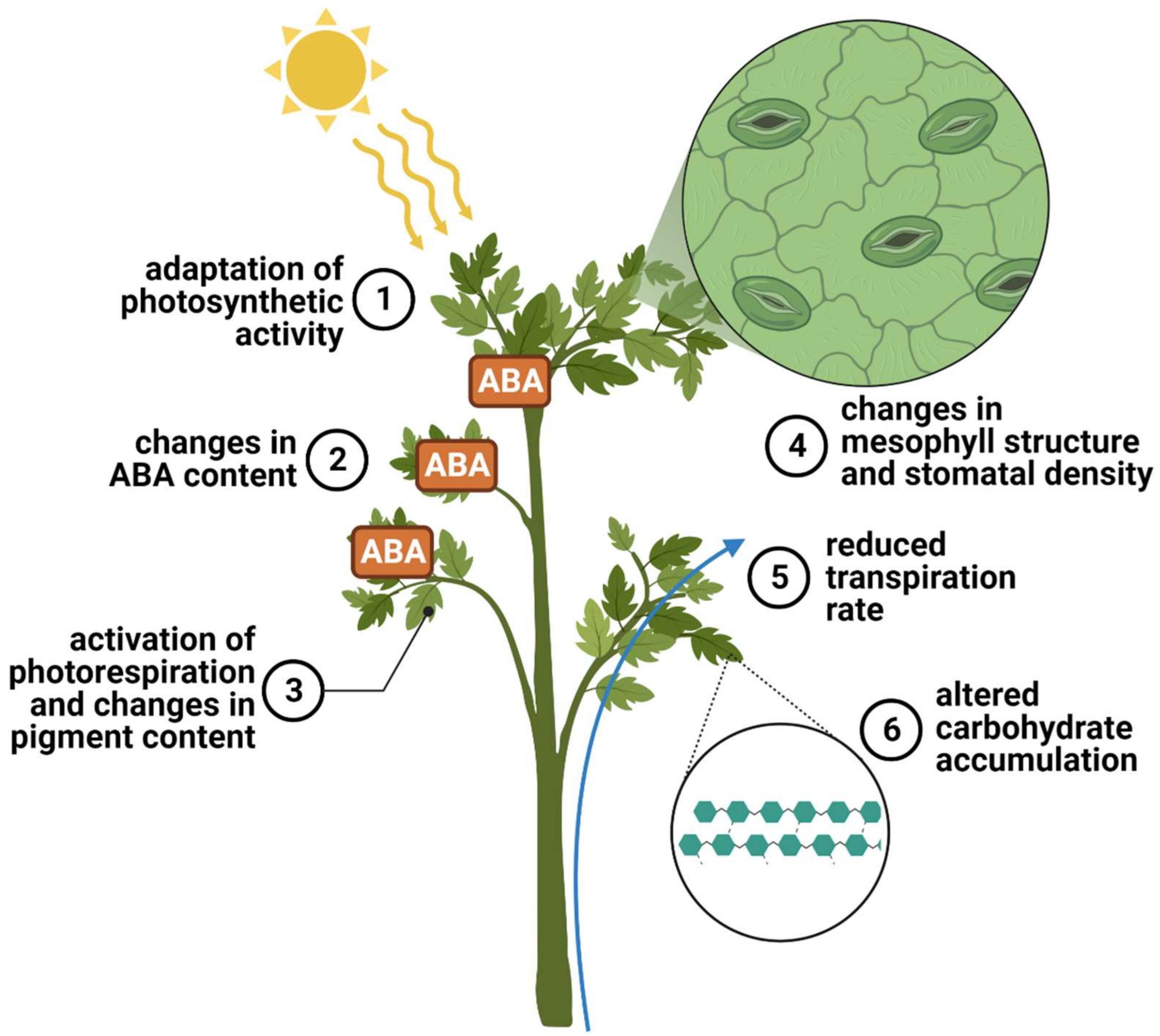 Ijms 24 10044 g003 Ijms 24 10044 g003