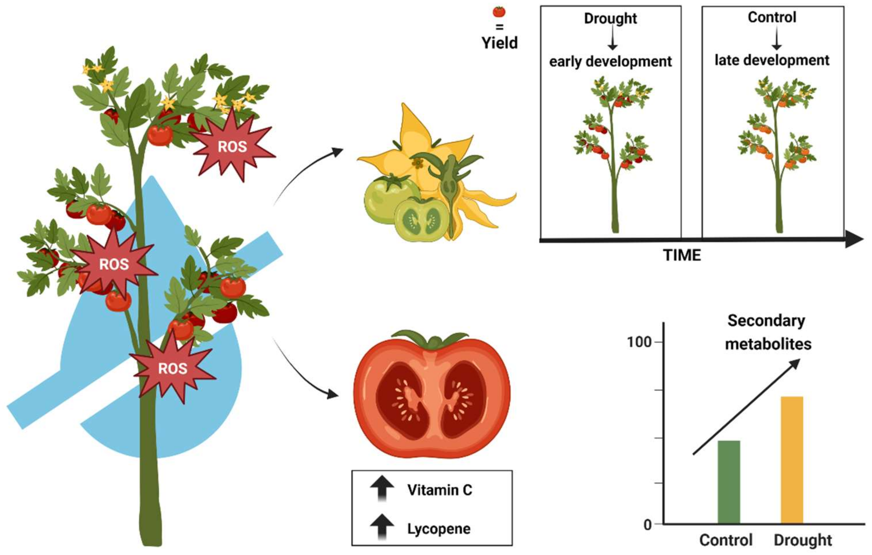 Ijms 24 10044 g004 Ijms 24 10044 g004