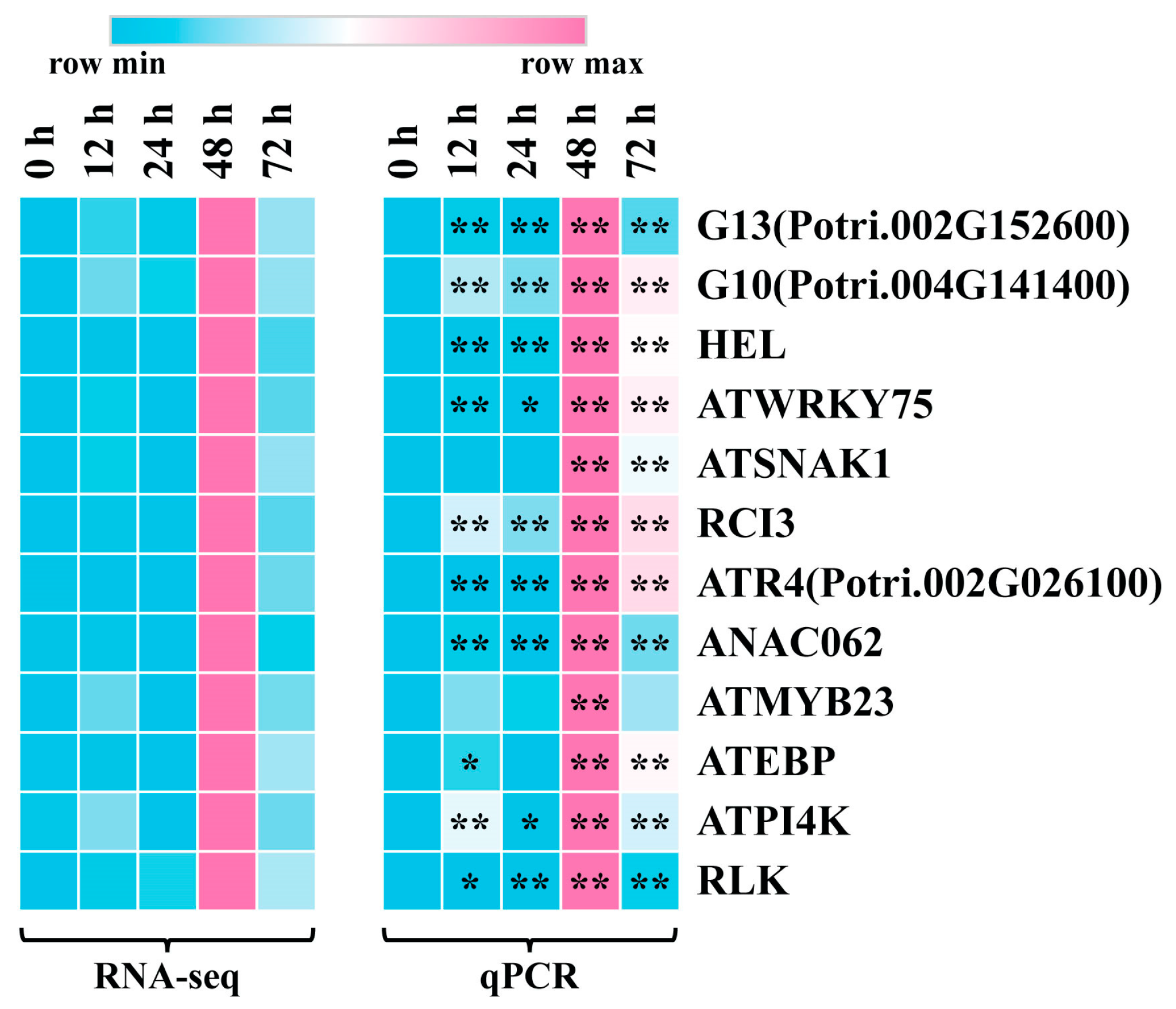 Ijms 24 10047 g007