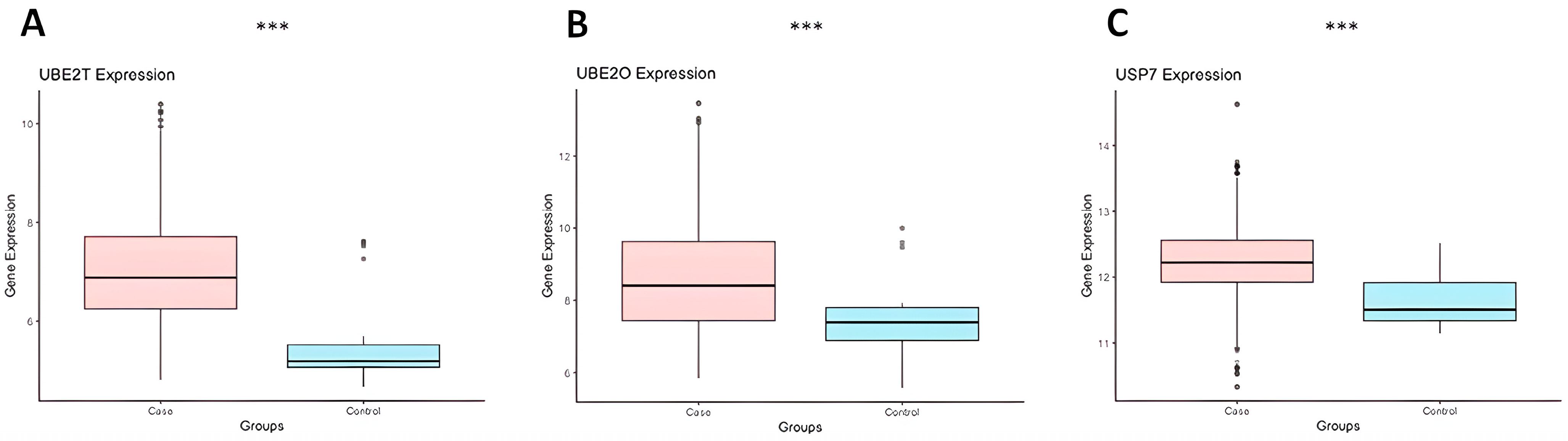 Ijms 24 10058 g001 Ijms 24 10058 g001