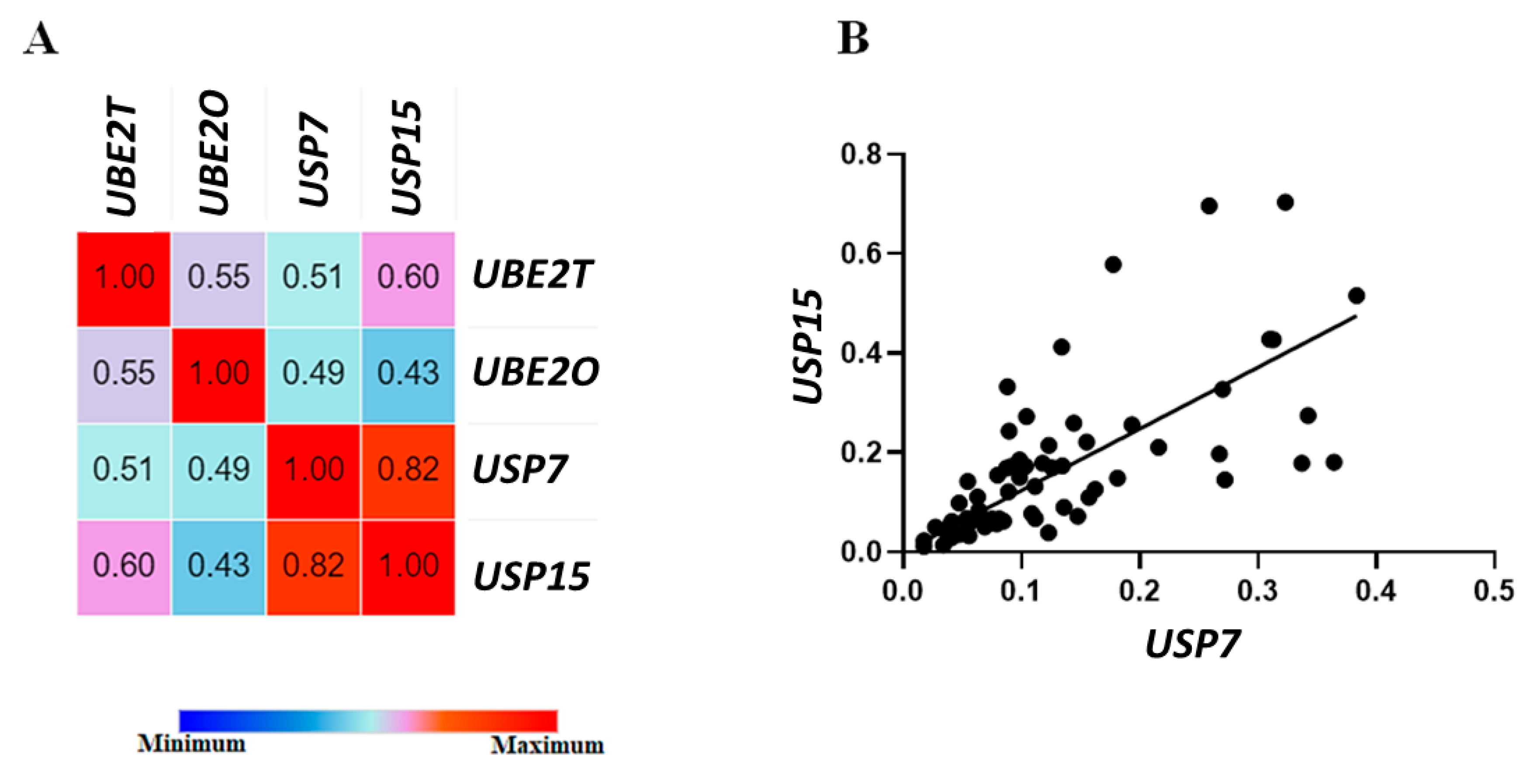 Ijms 24 10058 g005 Ijms 24 10058 g005