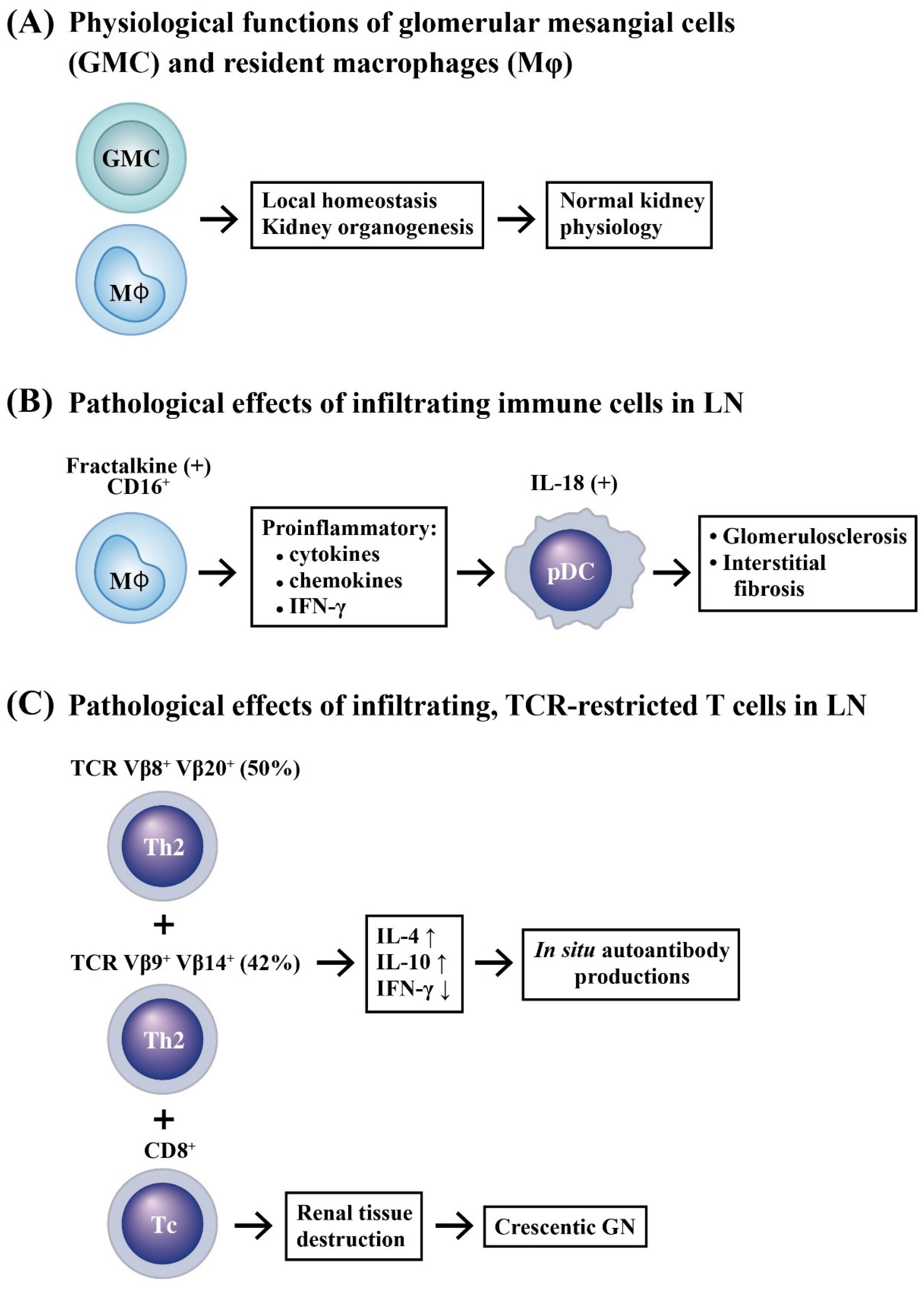 Ijms 24 10066 g001