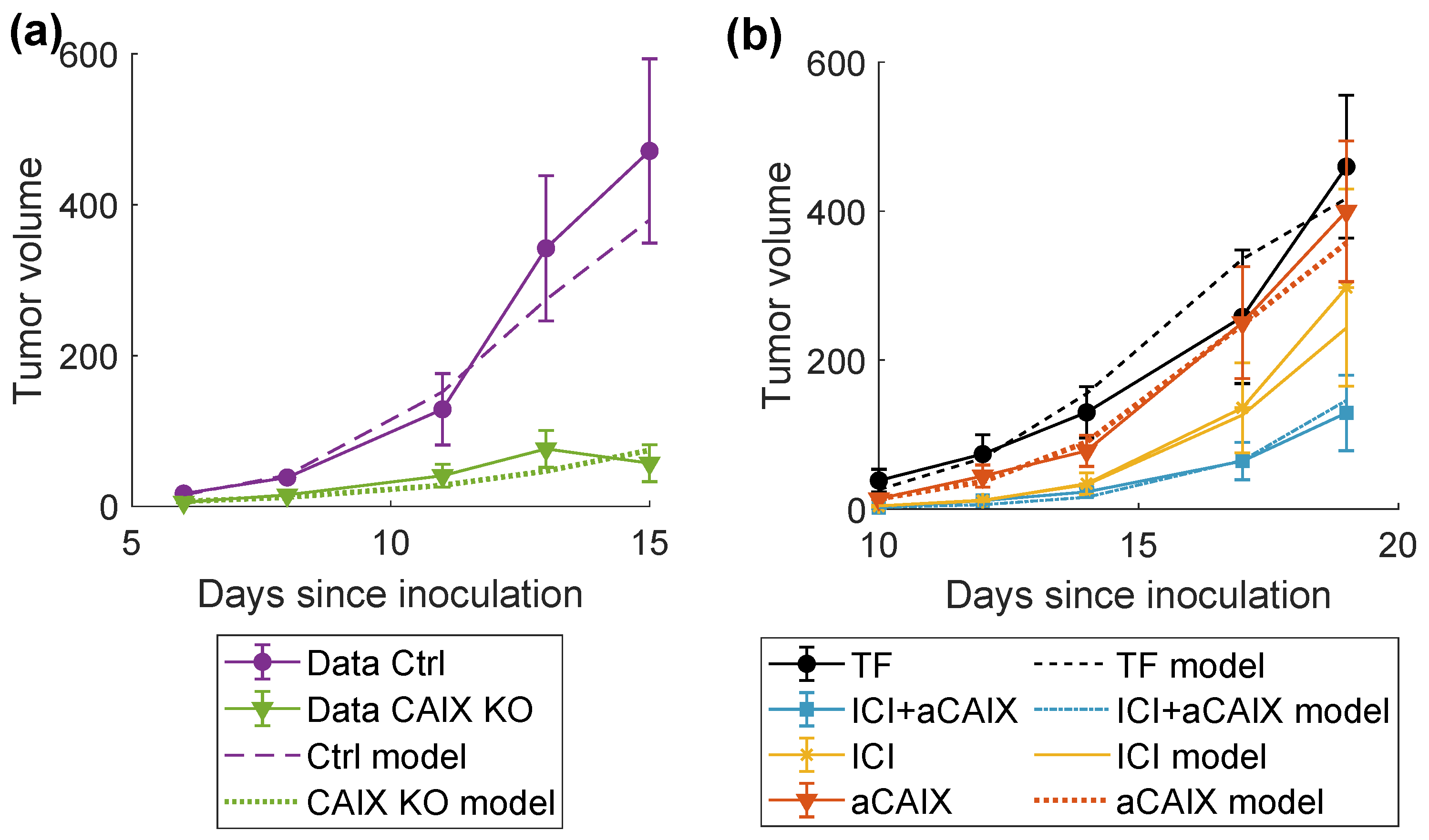 Ijms 24 10068 g003 Ijms 24 10068 g003