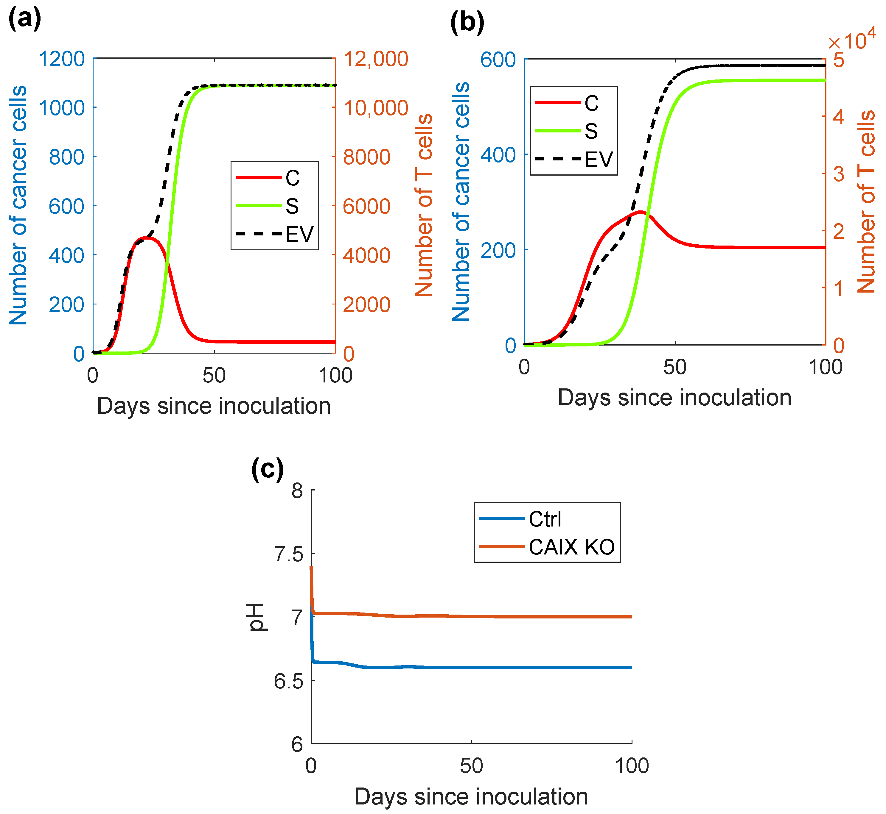 Ijms 24 10068 g004 Ijms 24 10068 g004