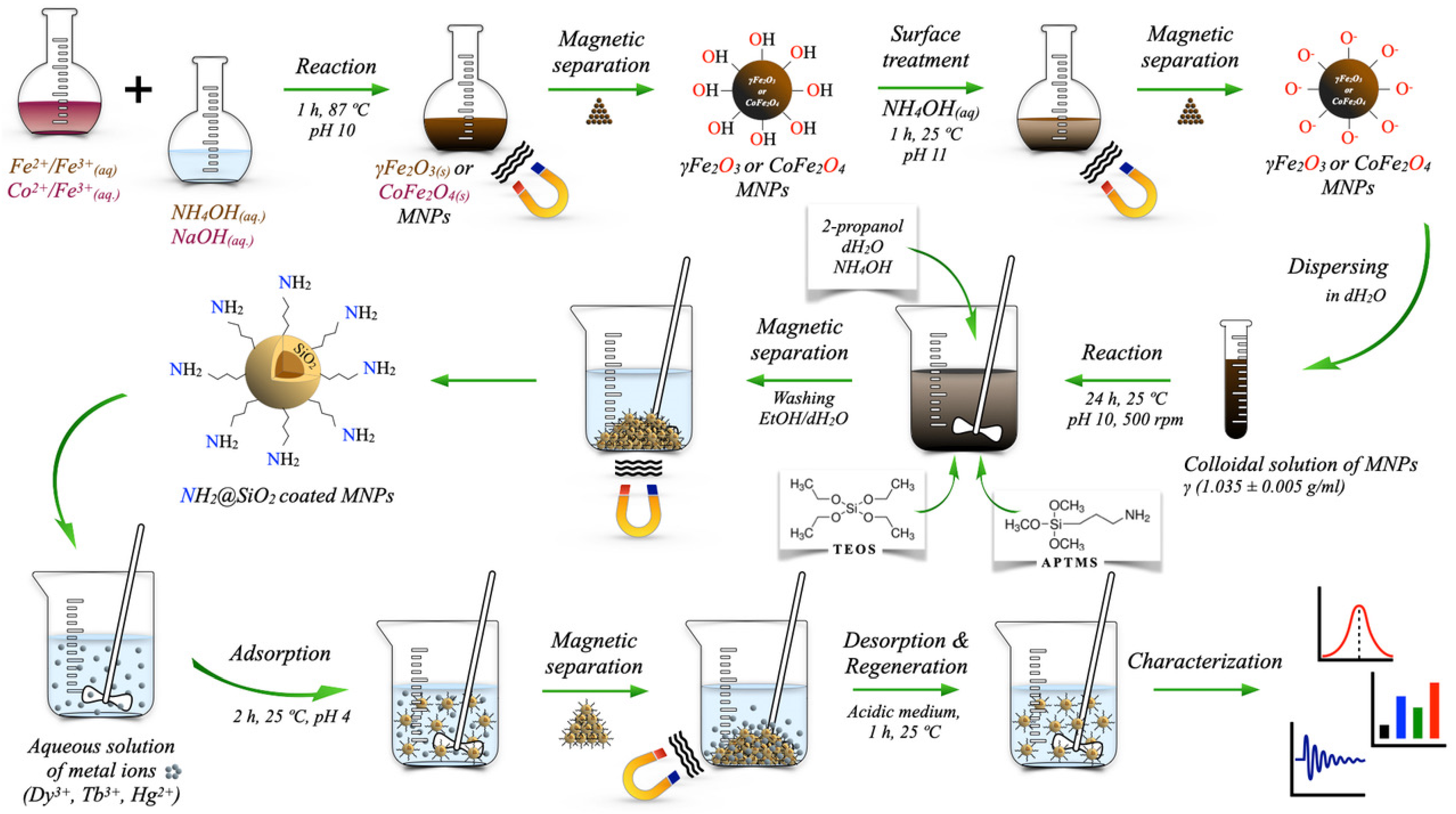 Ijms 24 10072 g013 Ijms 24 10072 g013