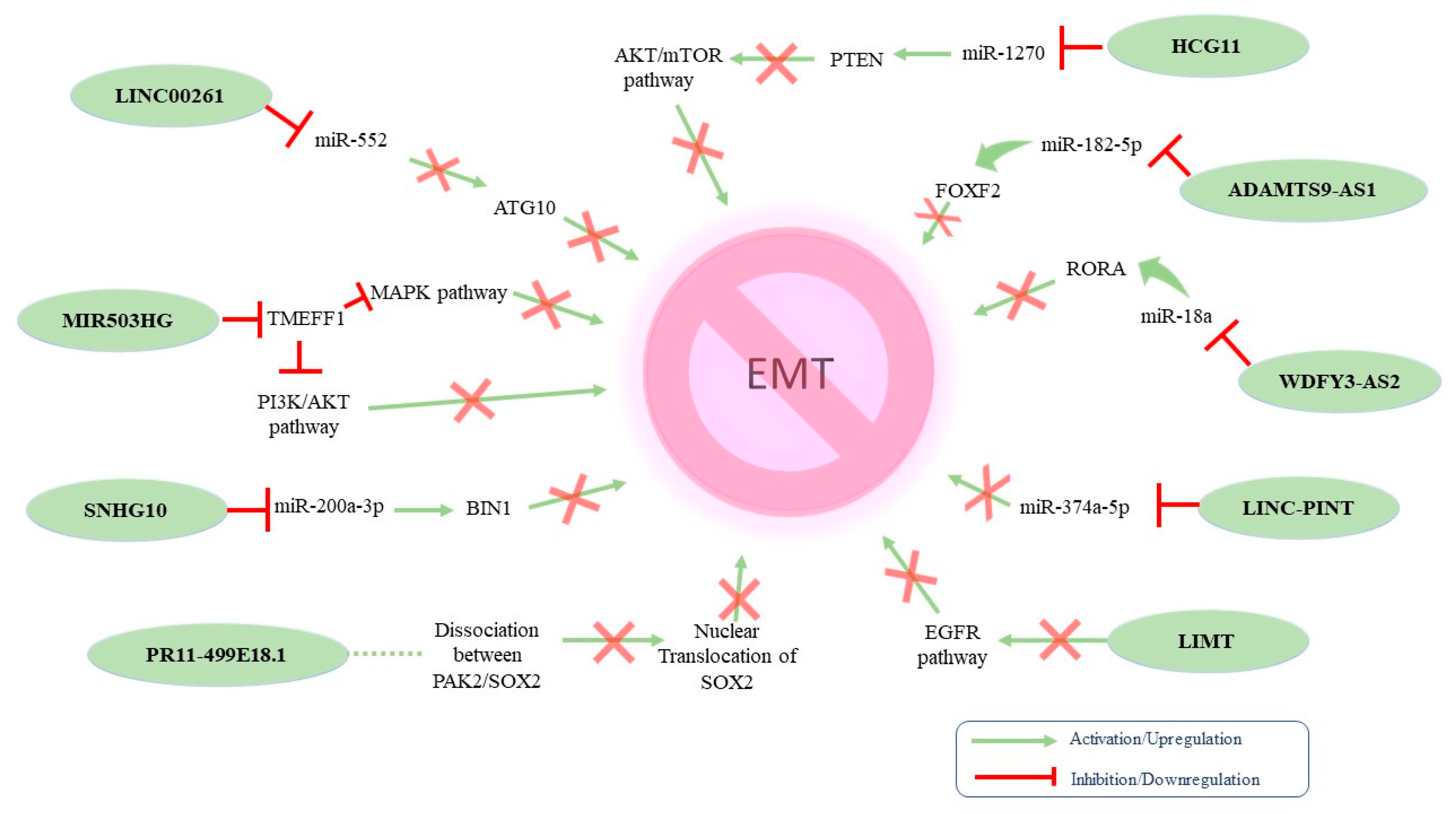 Ijms 24 10079 g003 Ijms 24 10079 g003