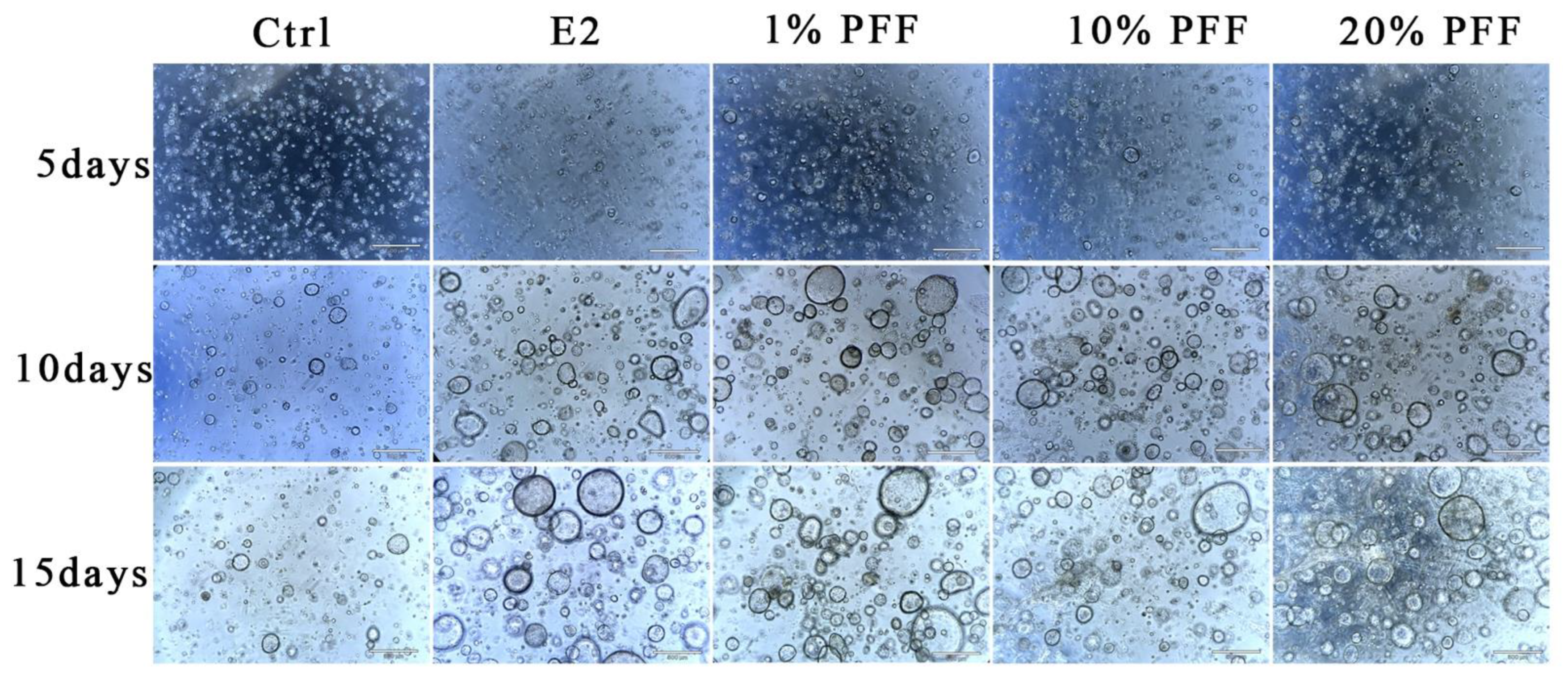 Ijms 24 10154 g002 Ijms 24 10154 g002