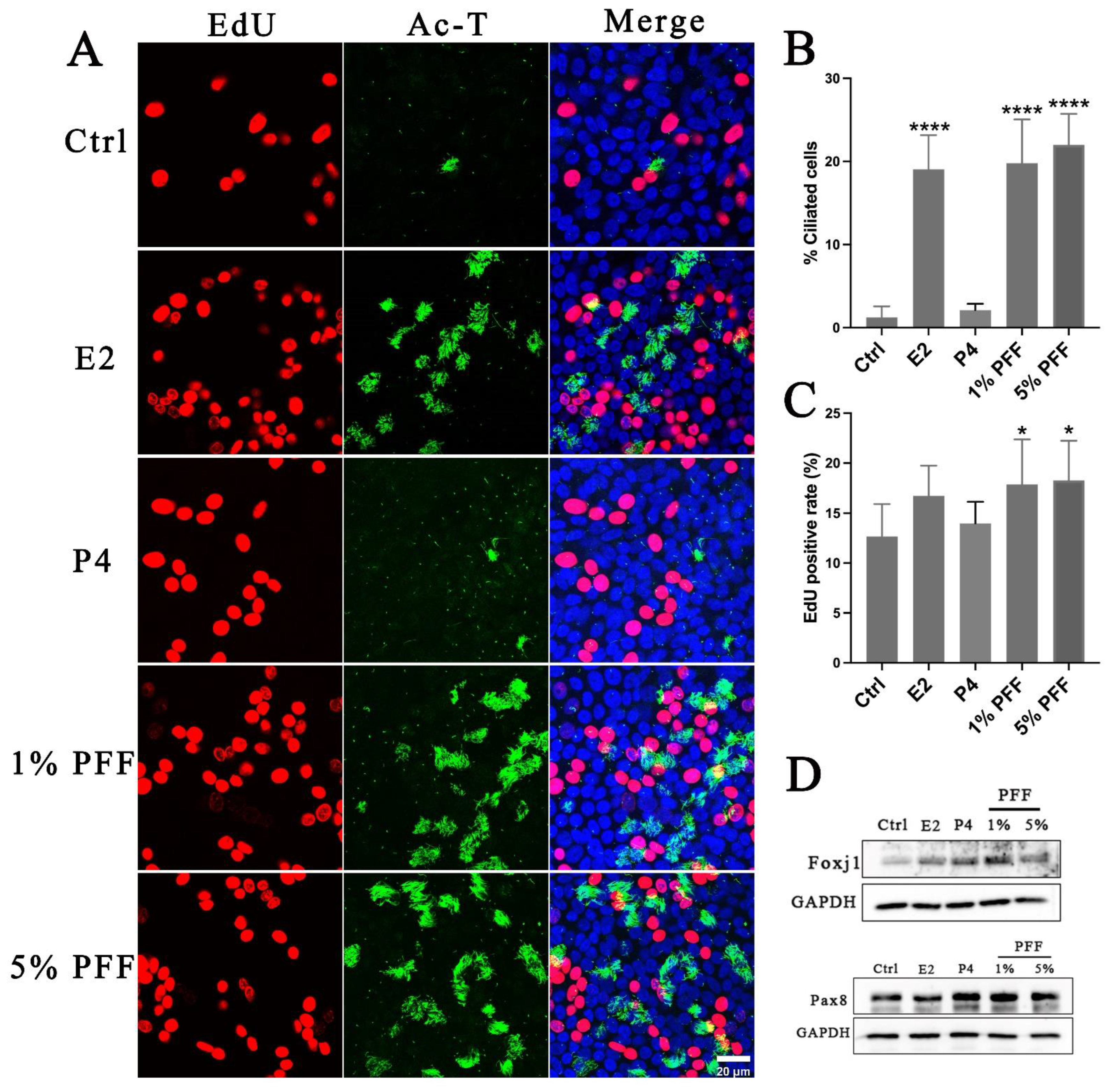 Ijms 24 10154 g004 Ijms 24 10154 g004