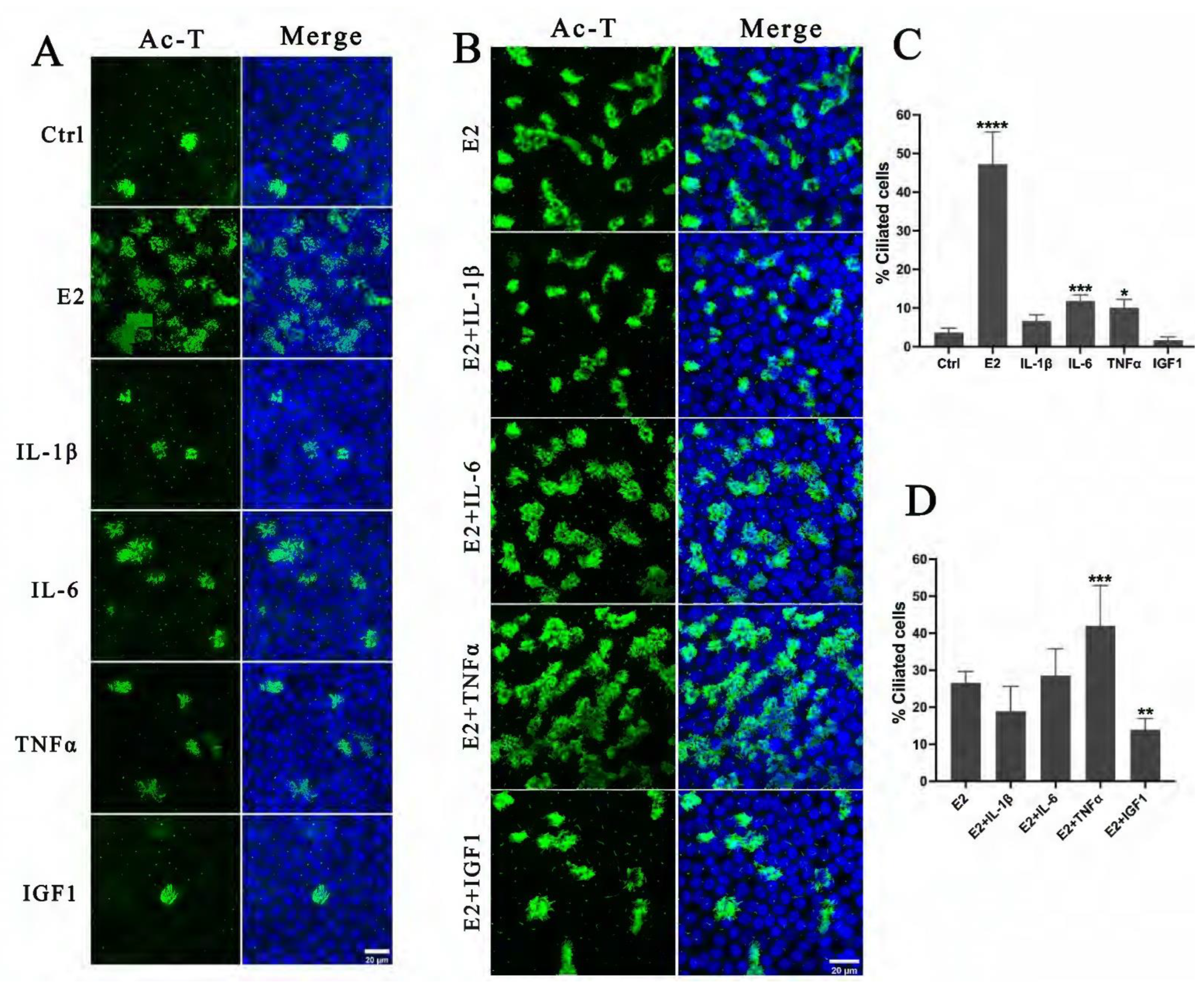 Ijms 24 10154 g005 Ijms 24 10154 g005
