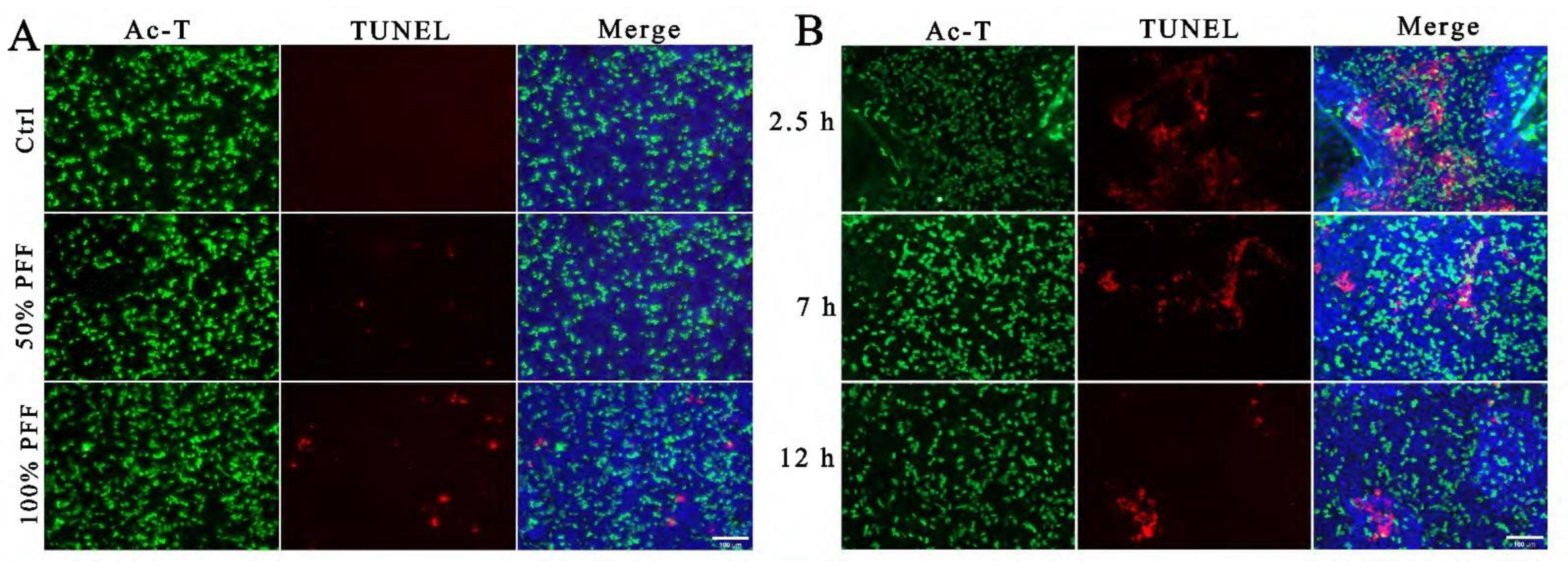 Ijms 24 10154 g006 Ijms 24 10154 g006