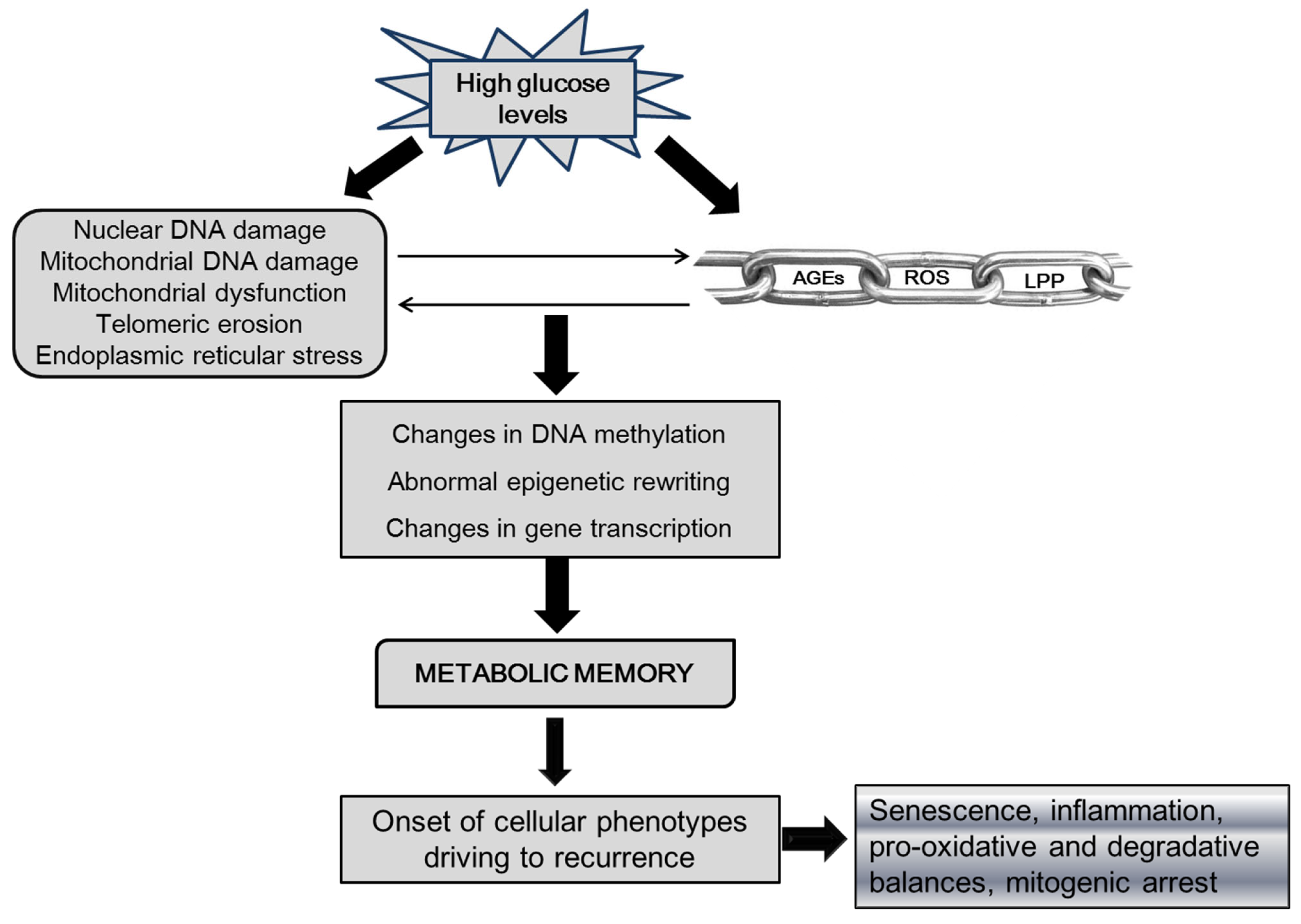 Ijms 24 10170 g001 Ijms 24 10170 g001