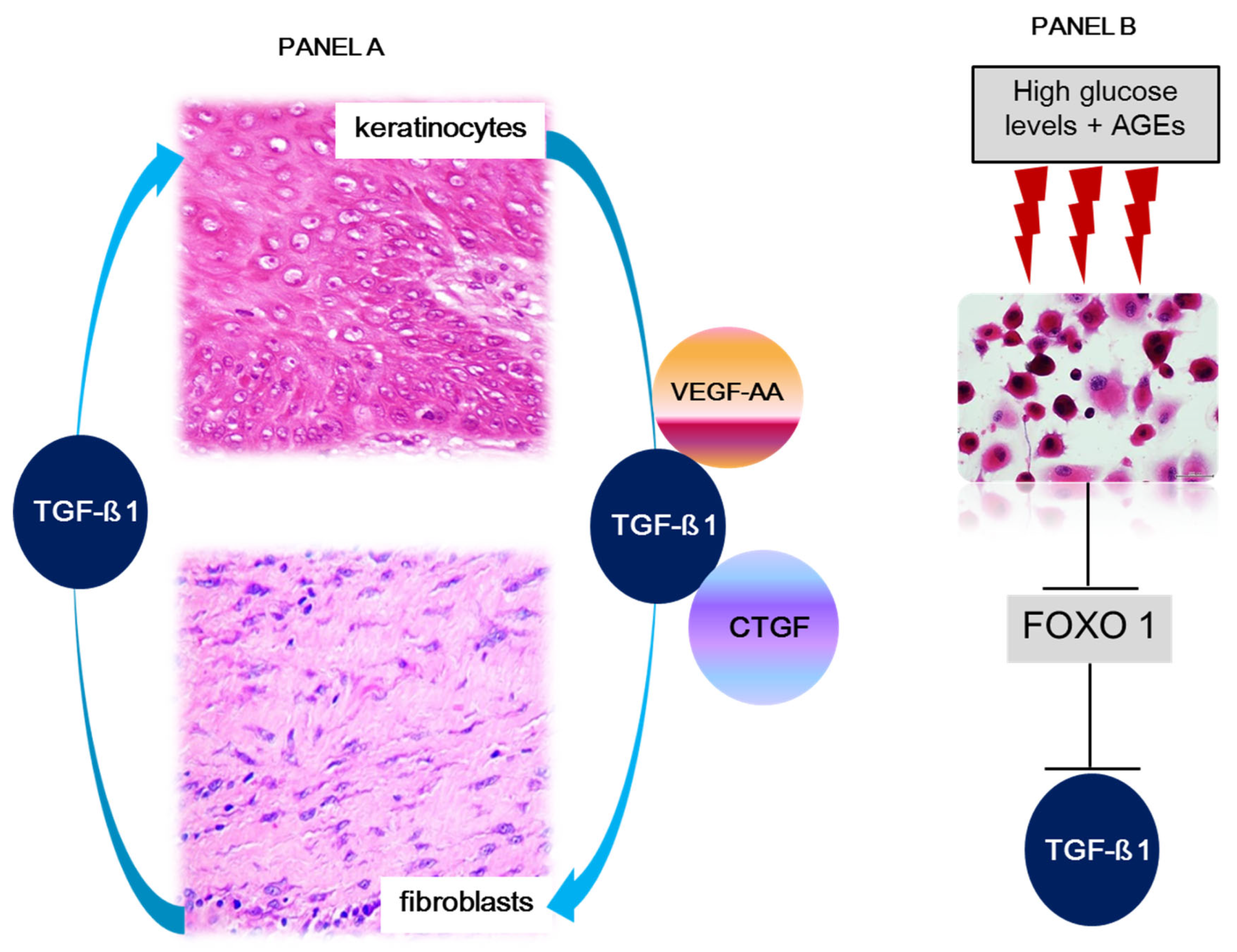 Ijms 24 10170 g003 Ijms 24 10170 g003