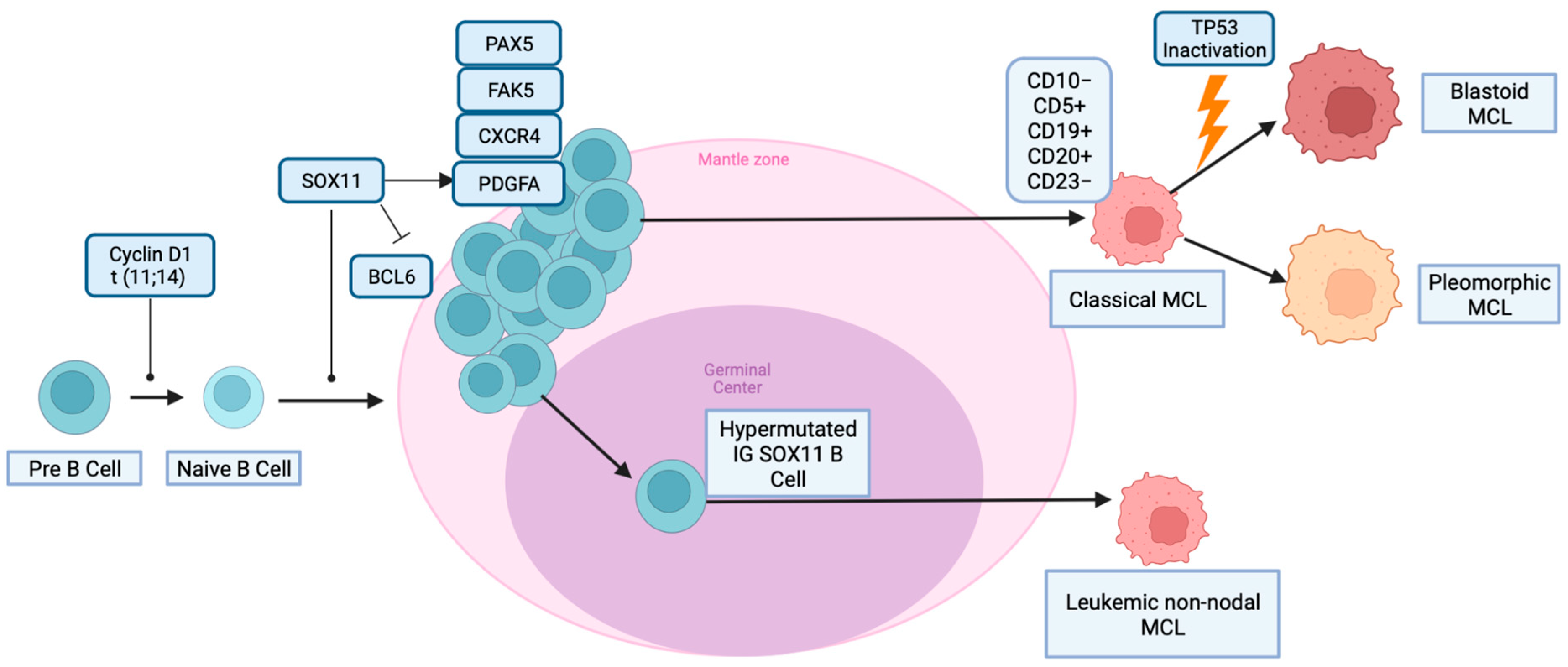 Ijms 24 10207 sch001