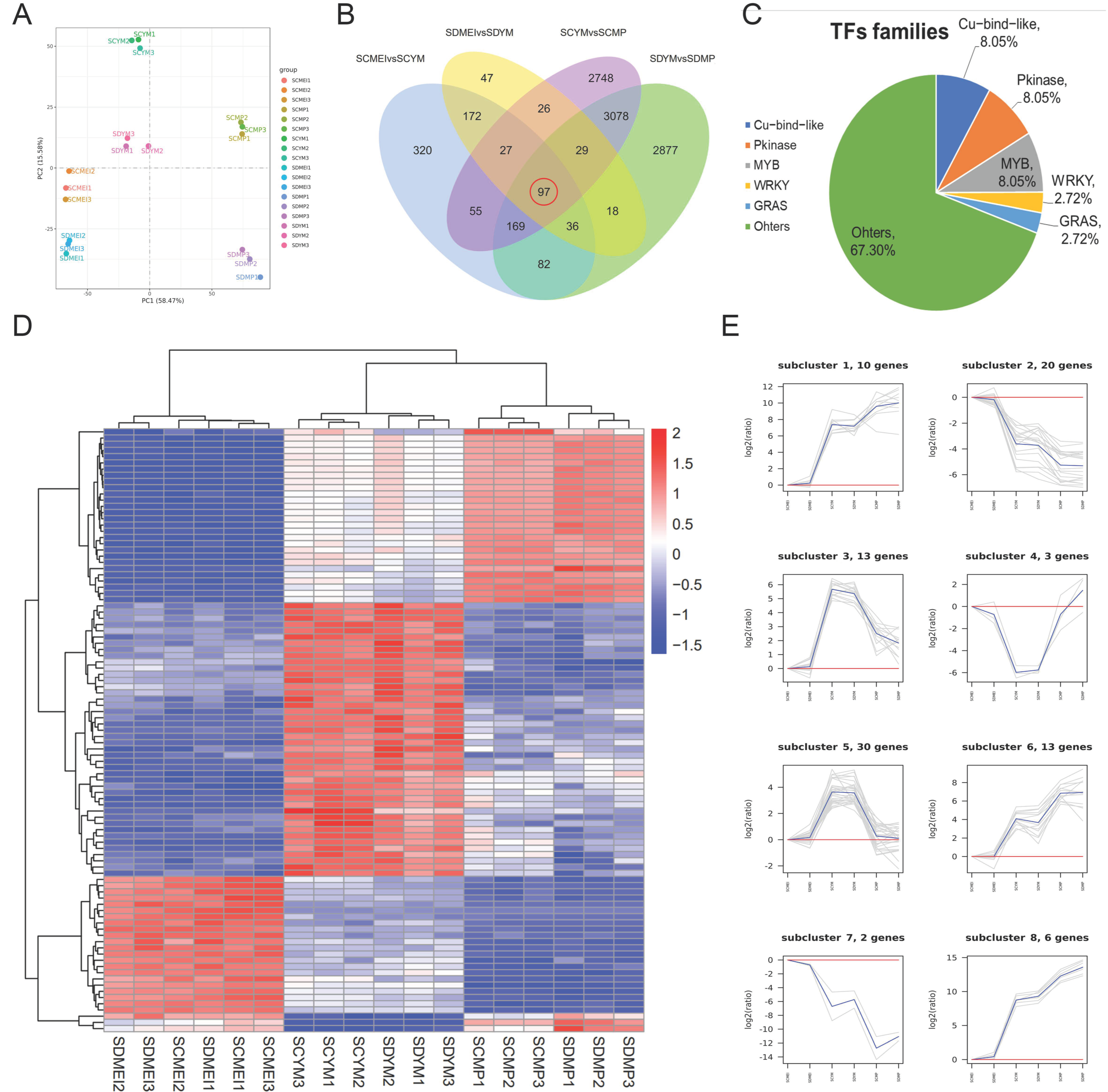 Ijms 24 10259 g005 Ijms 24 10259 g005