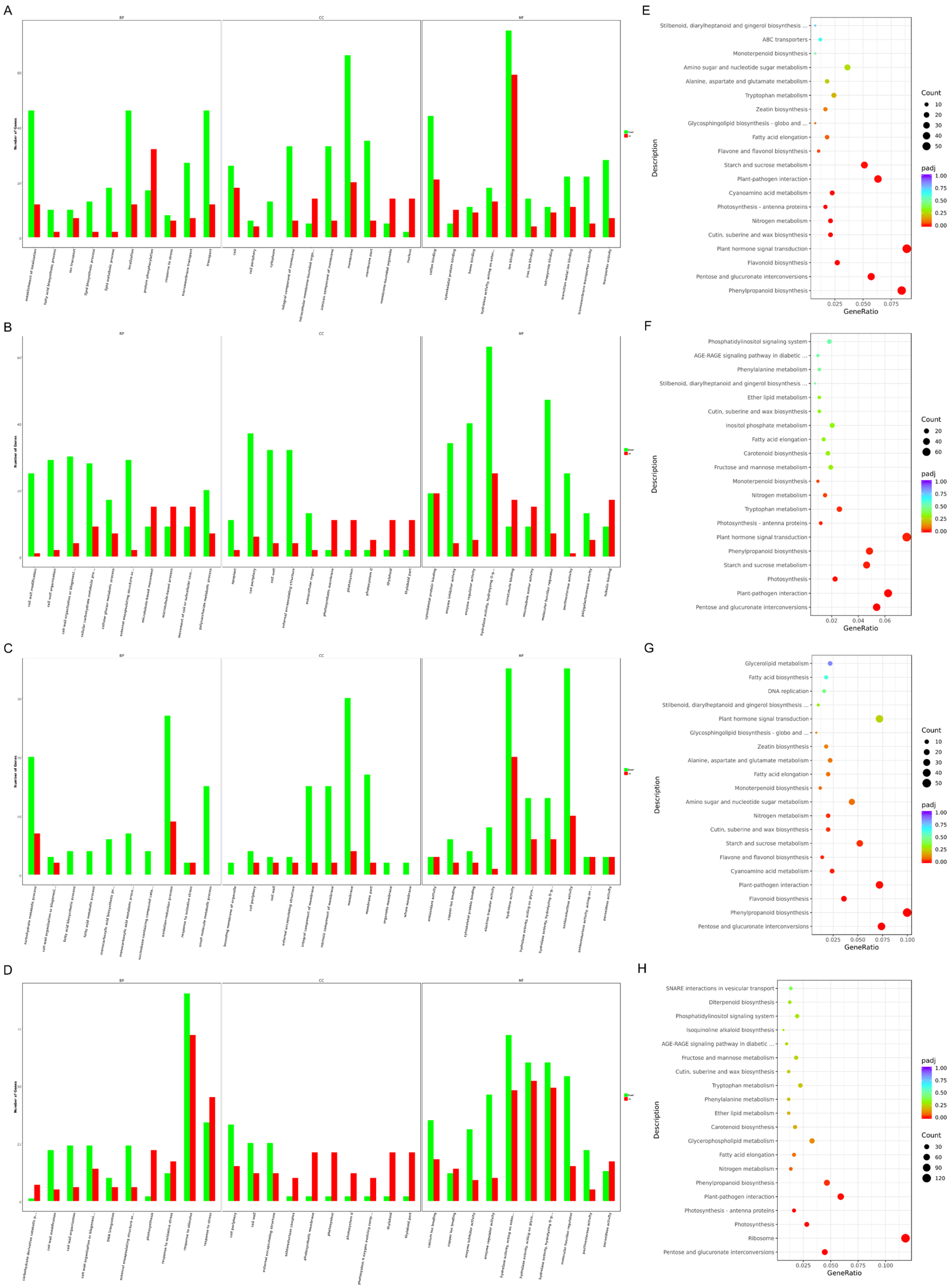 Ijms 24 10259 g006 Ijms 24 10259 g006