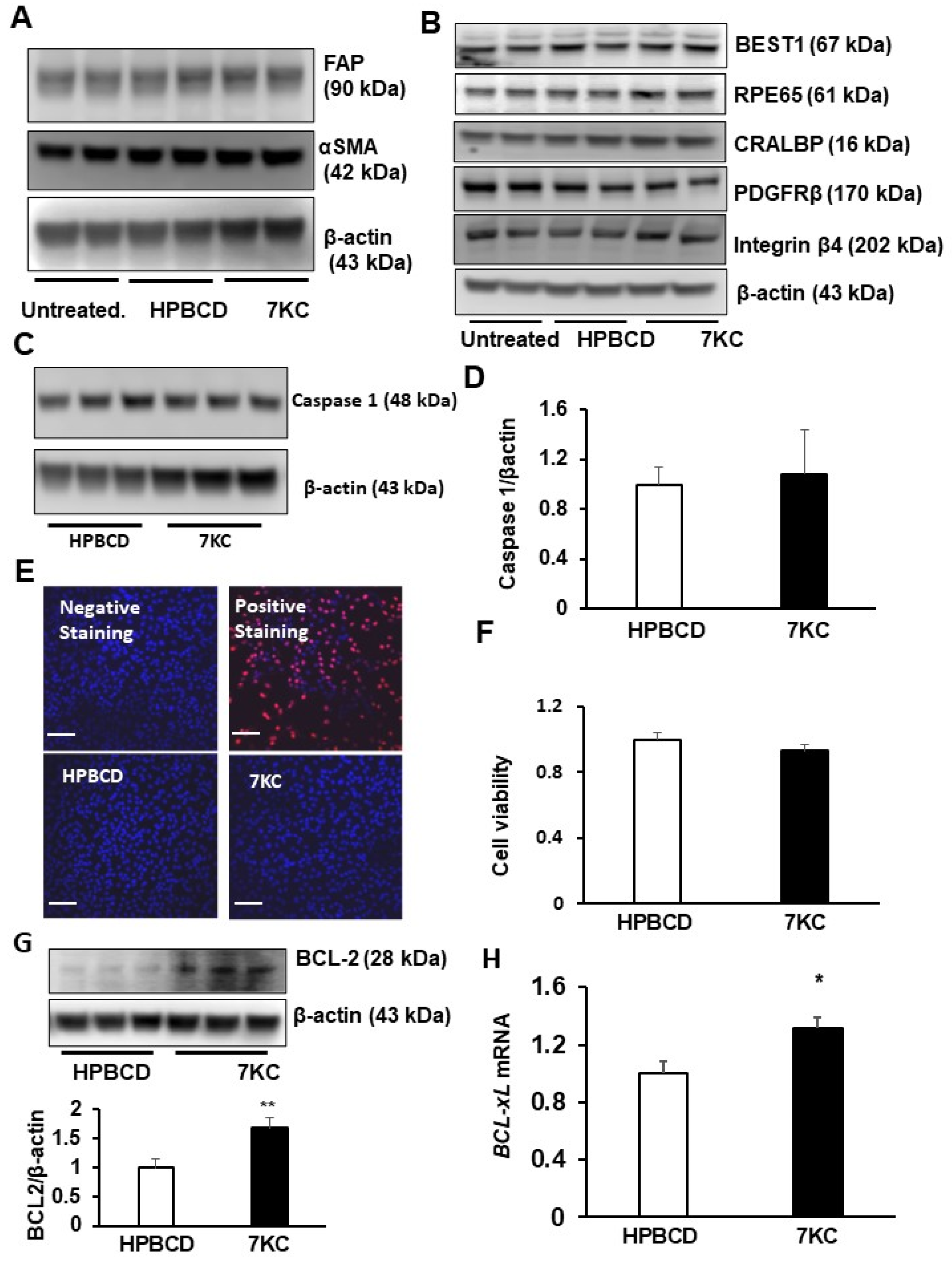Ijms 24 10276 g001 Ijms 24 10276 g001