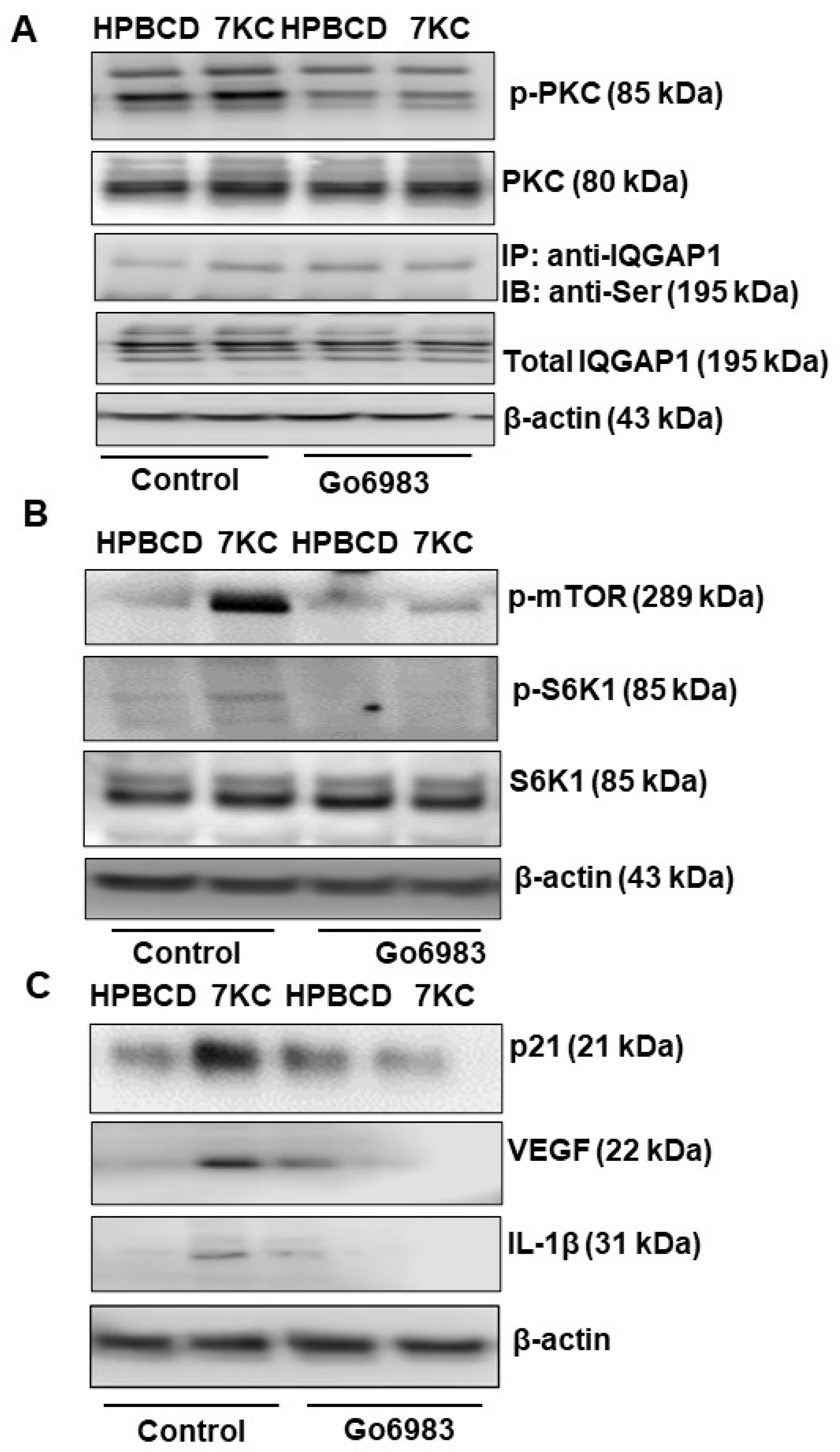 Ijms 24 10276 g005 Ijms 24 10276 g005