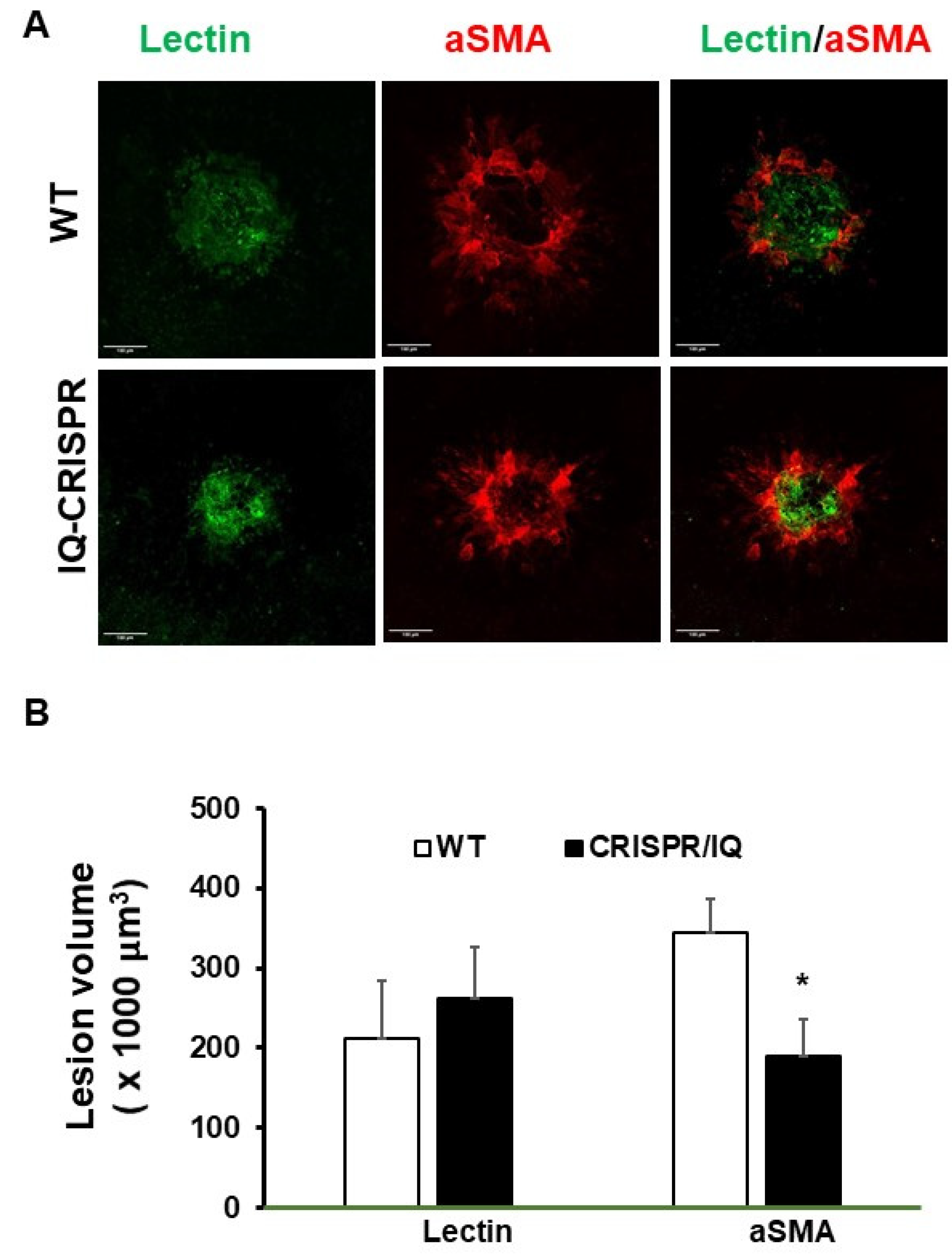 Ijms 24 10276 g006 Ijms 24 10276 g006