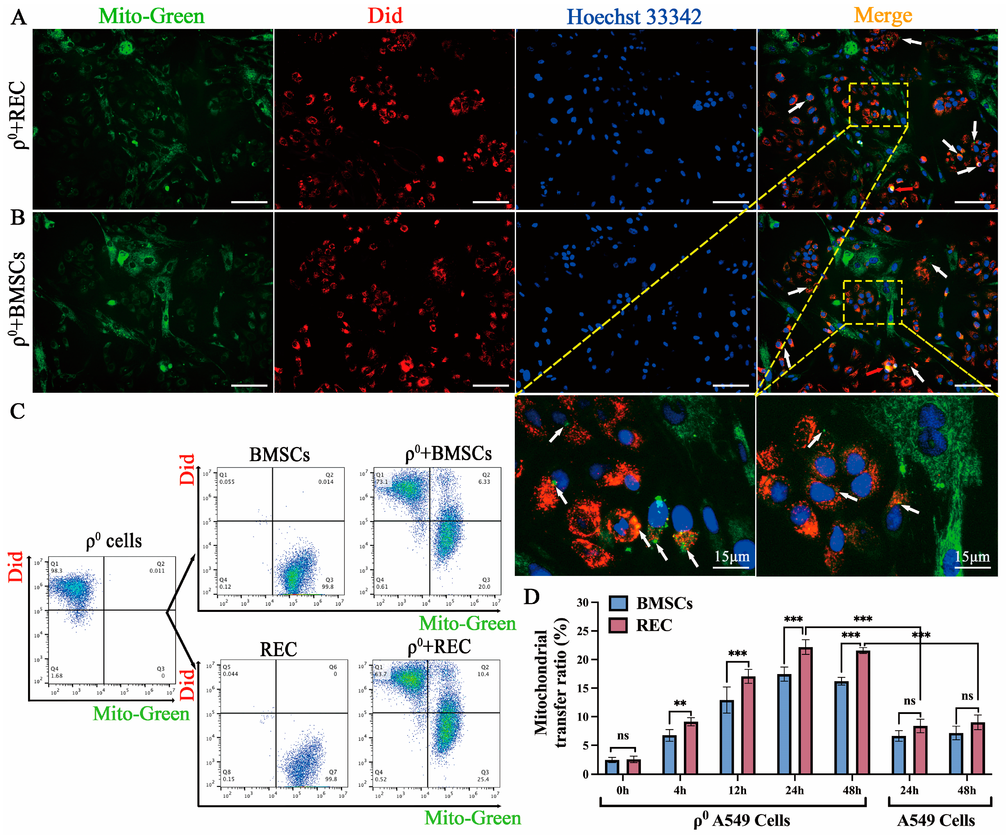Ijms 24 10294 g001 Ijms 24 10294 g001