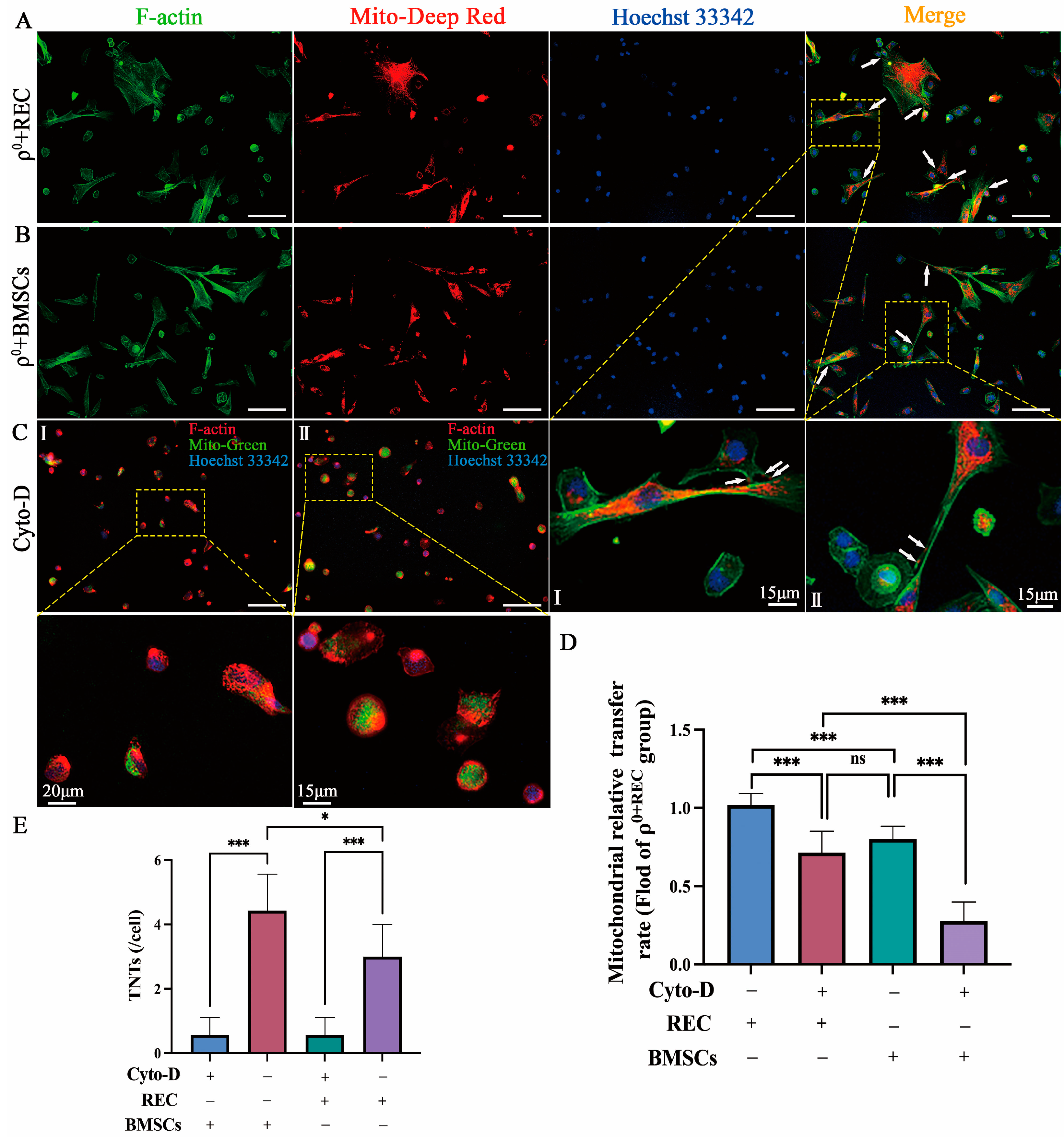 Ijms 24 10294 g002 Ijms 24 10294 g002