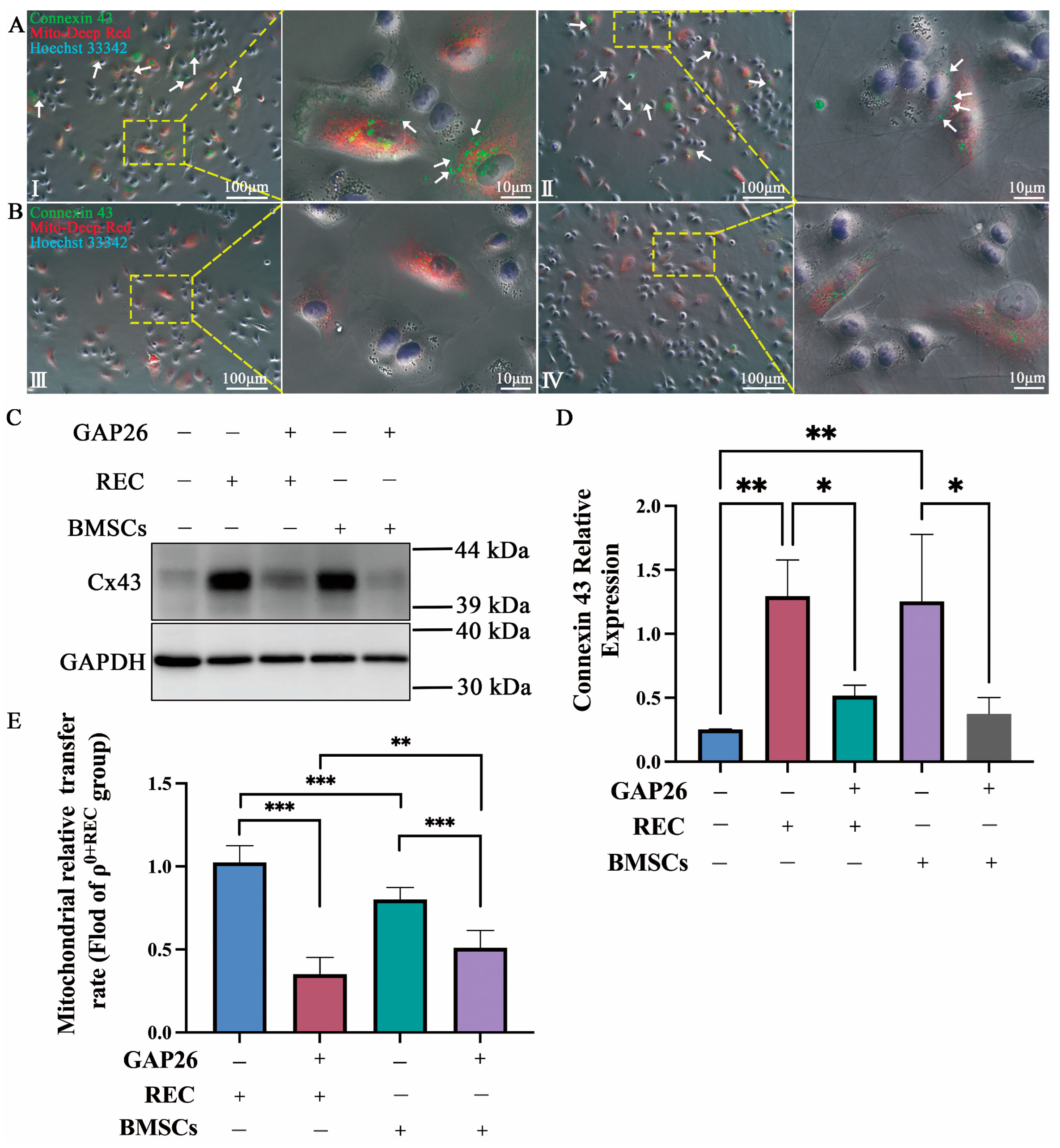 Ijms 24 10294 g003 Ijms 24 10294 g003