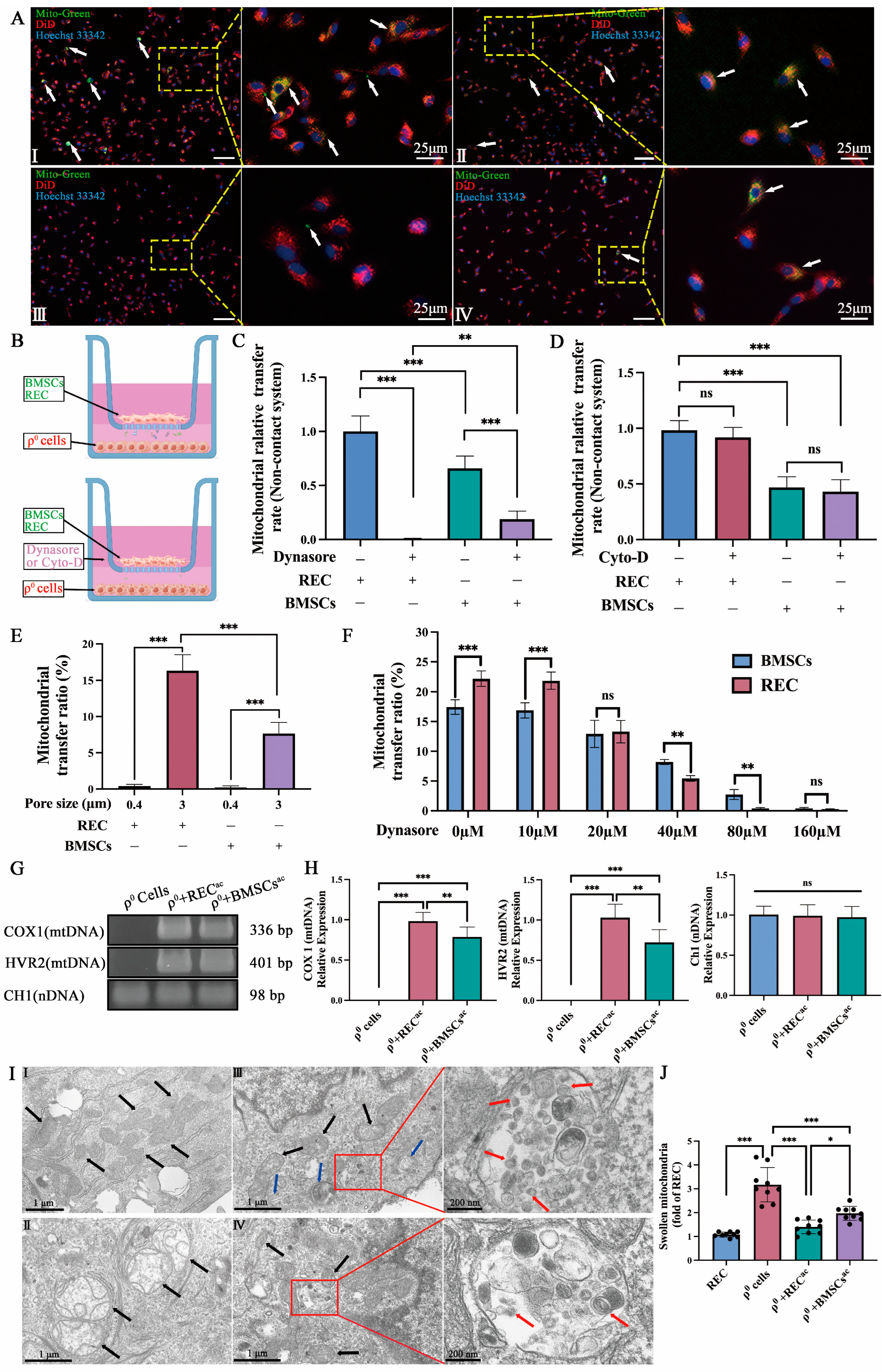 Ijms 24 10294 g004 Ijms 24 10294 g004