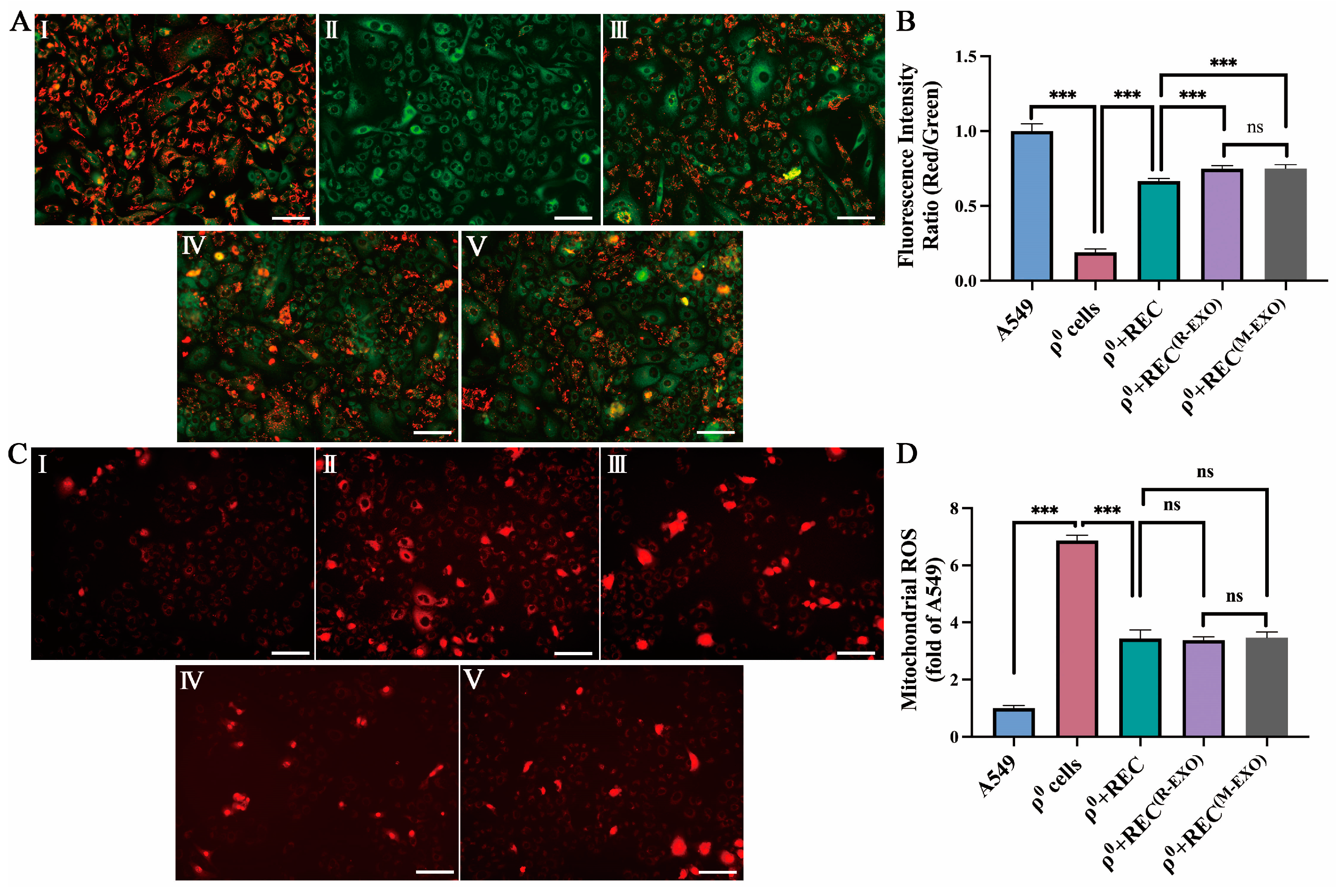 Ijms 24 10294 g007a Ijms 24 10294 g007a