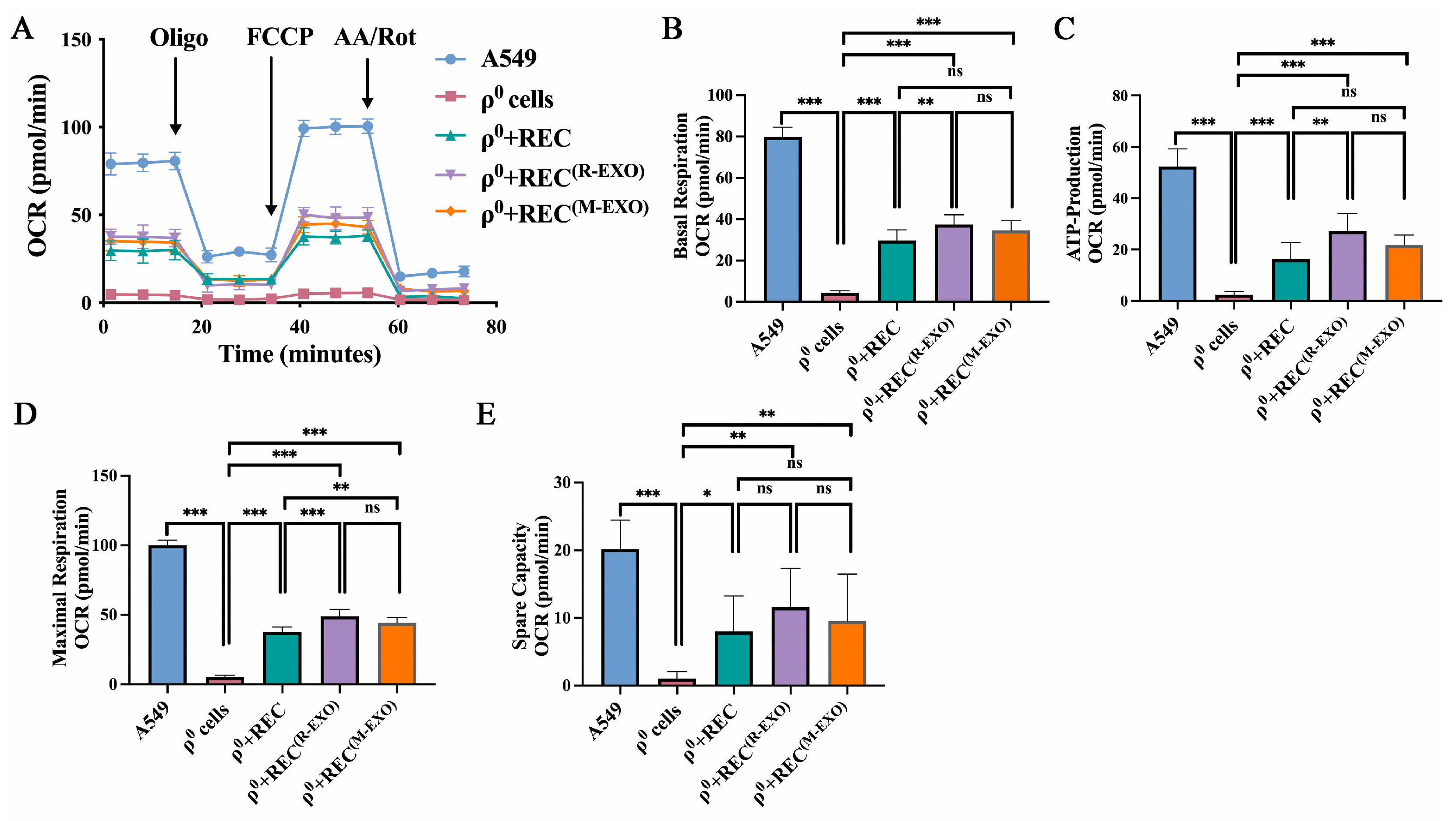 Ijms 24 10294 g008 Ijms 24 10294 g008