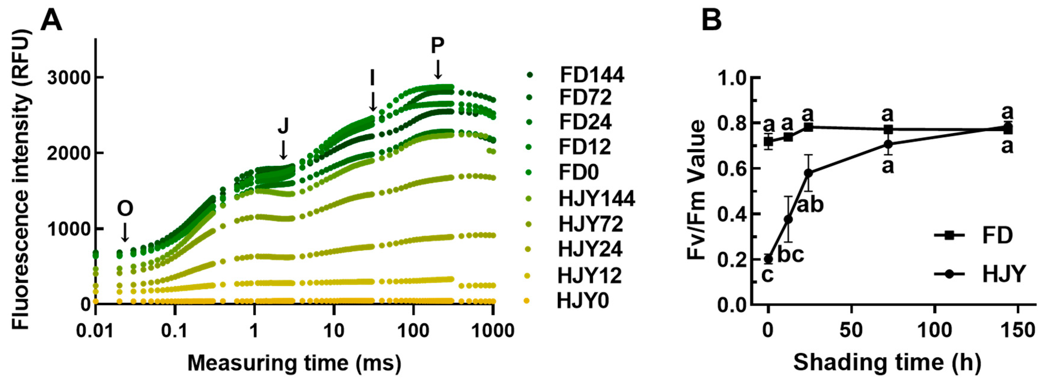 Ijms 24 10314 g003 Ijms 24 10314 g003