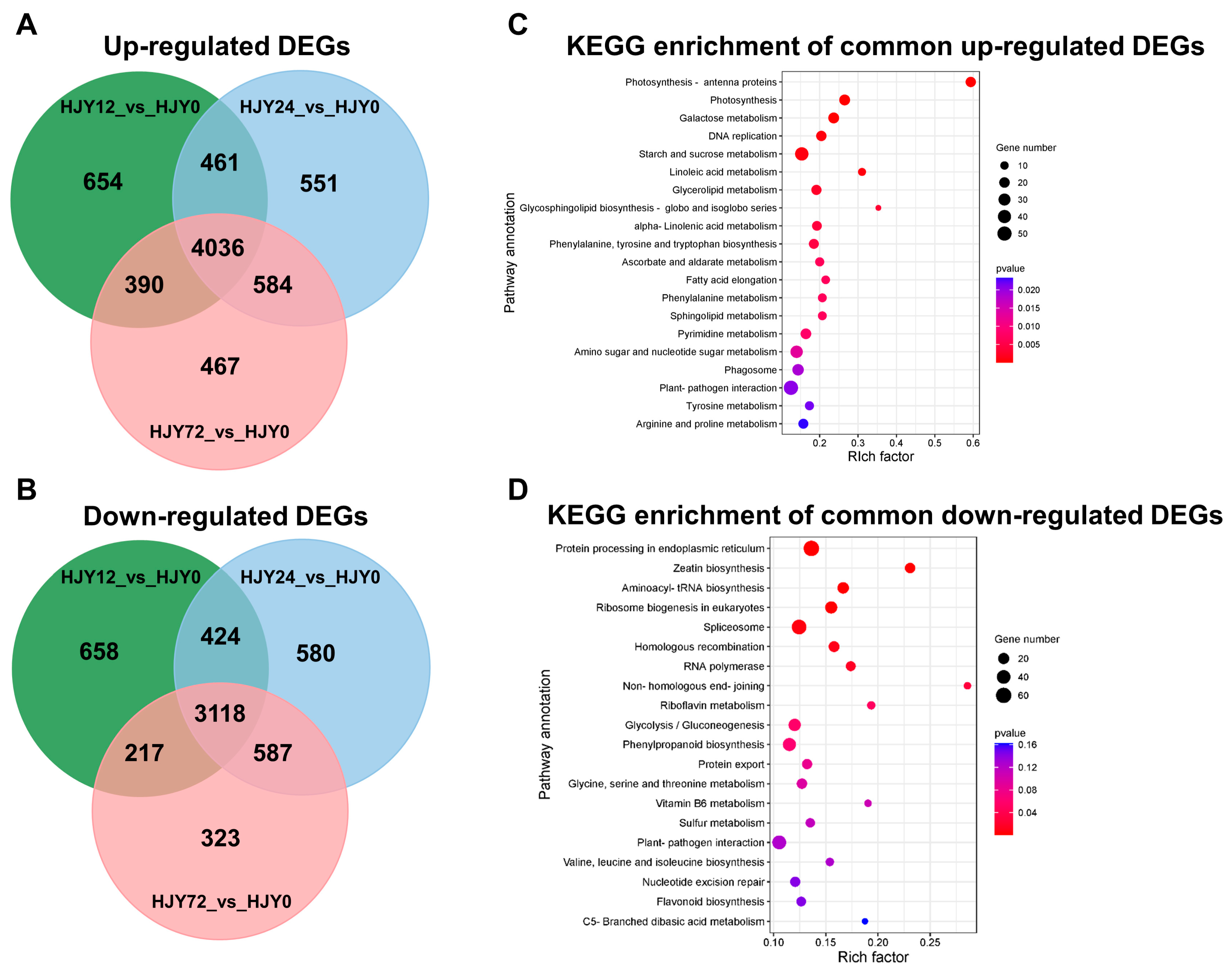Ijms 24 10314 g008 Ijms 24 10314 g008