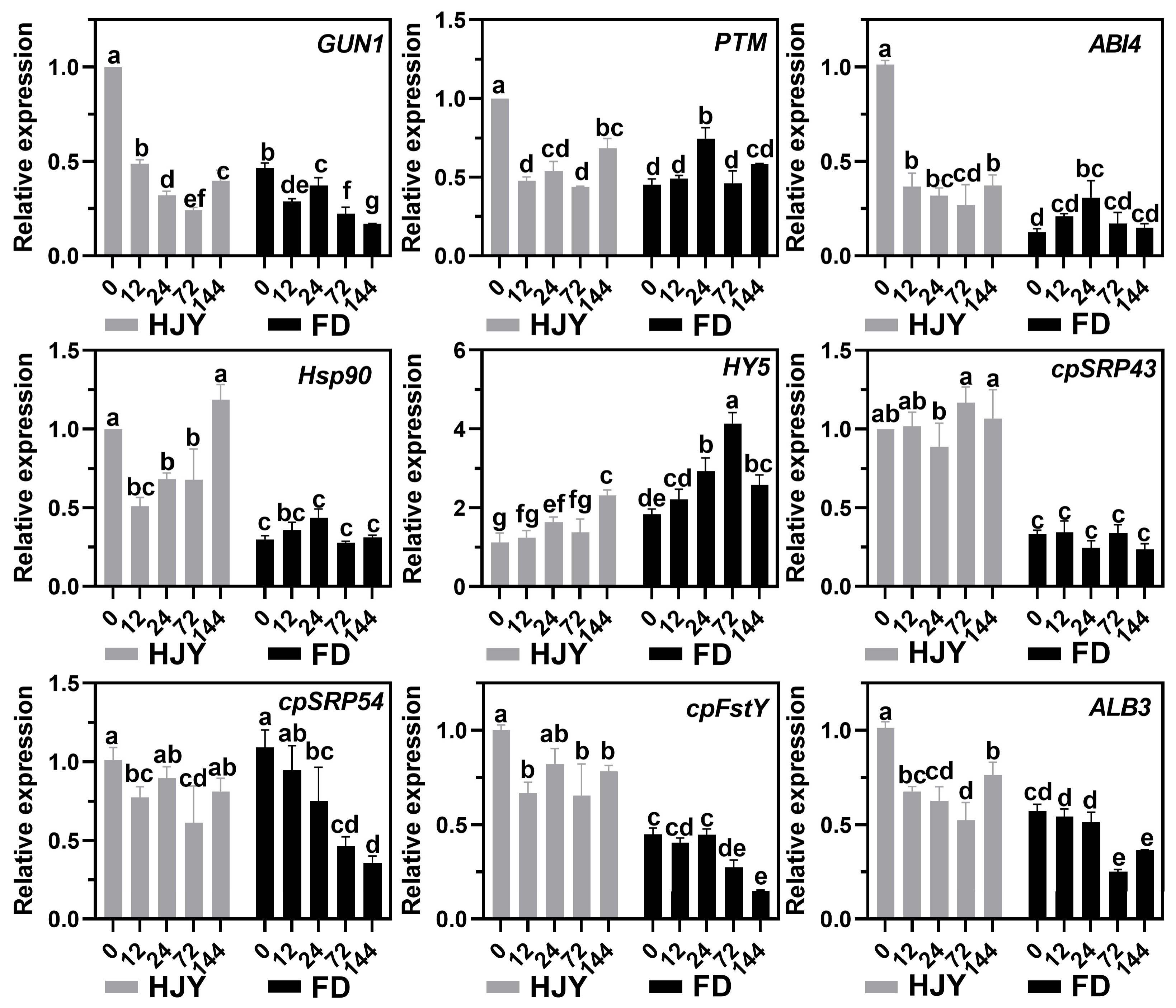 Ijms 24 10314 g010 Ijms 24 10314 g010