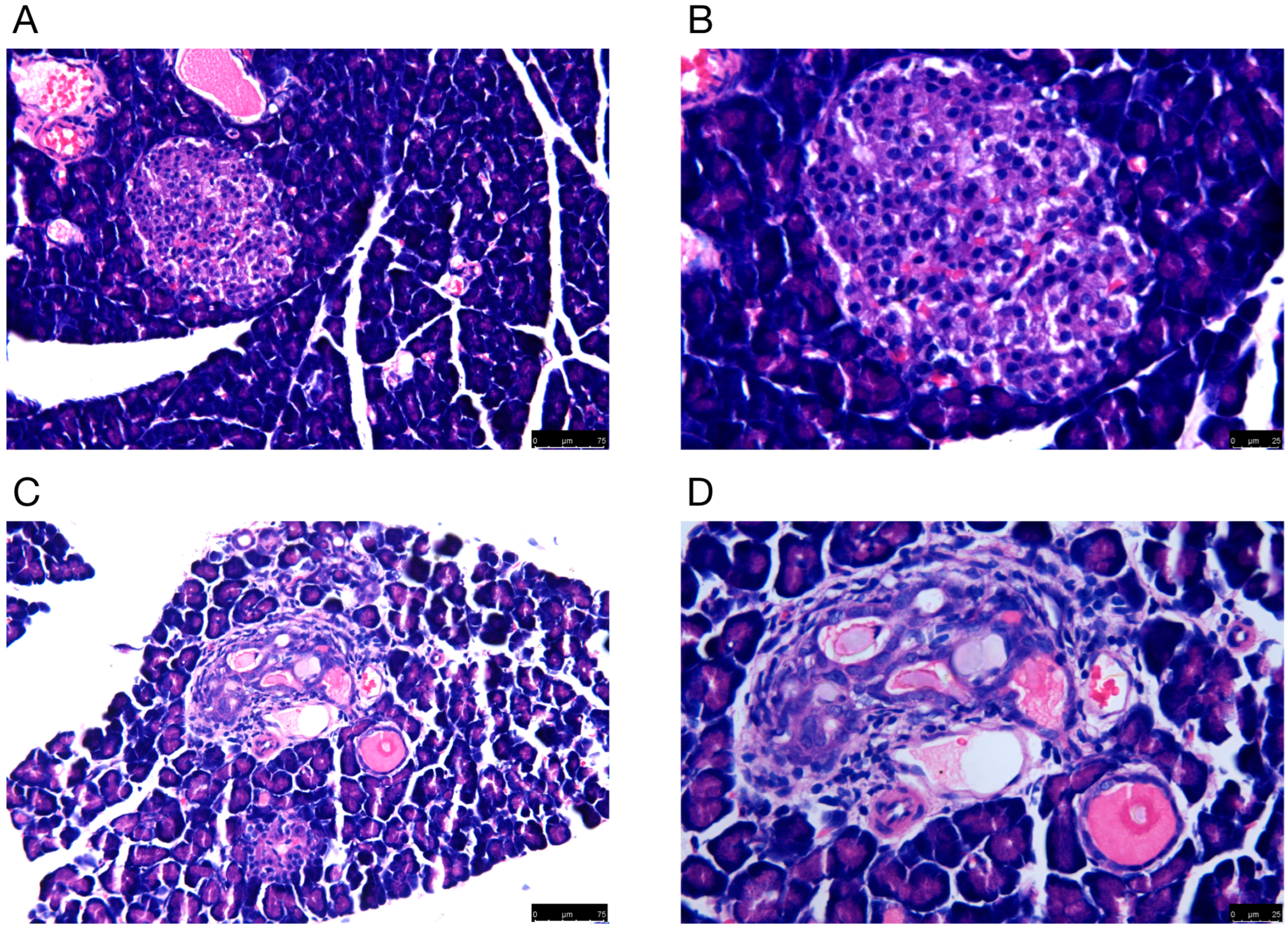 Ijms 24 10323 g001 Ijms 24 10323 g001