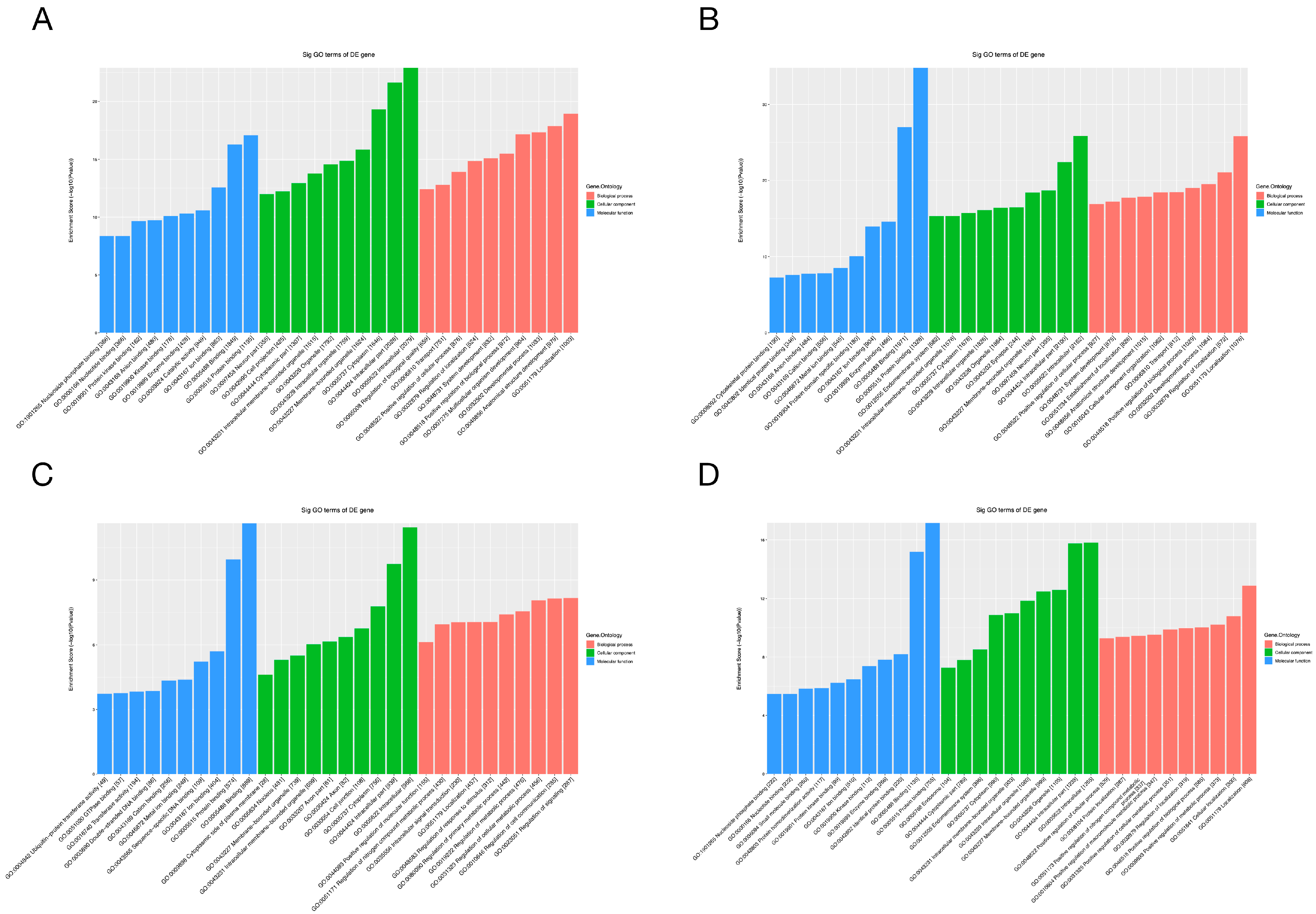 Ijms 24 10323 g006 Ijms 24 10323 g006