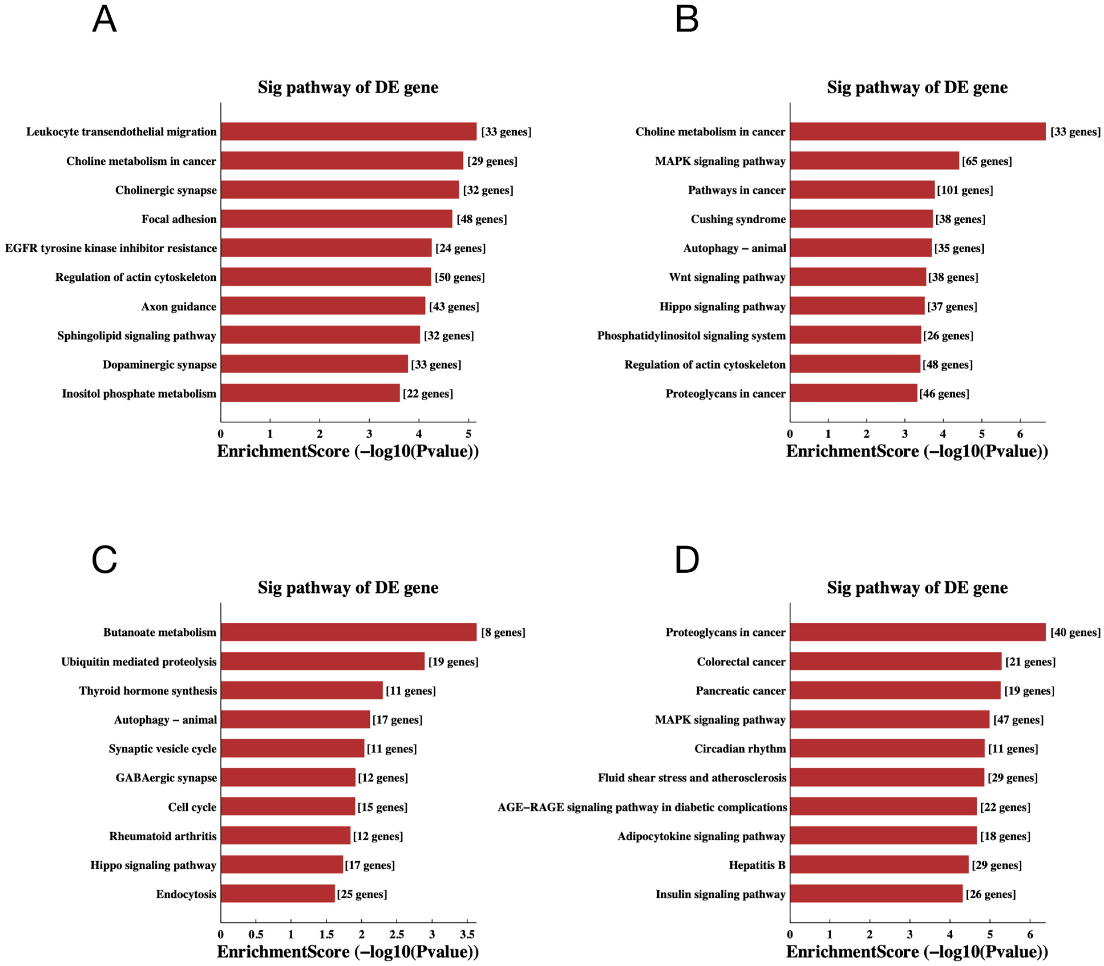 Ijms 24 10323 g007 Ijms 24 10323 g007
