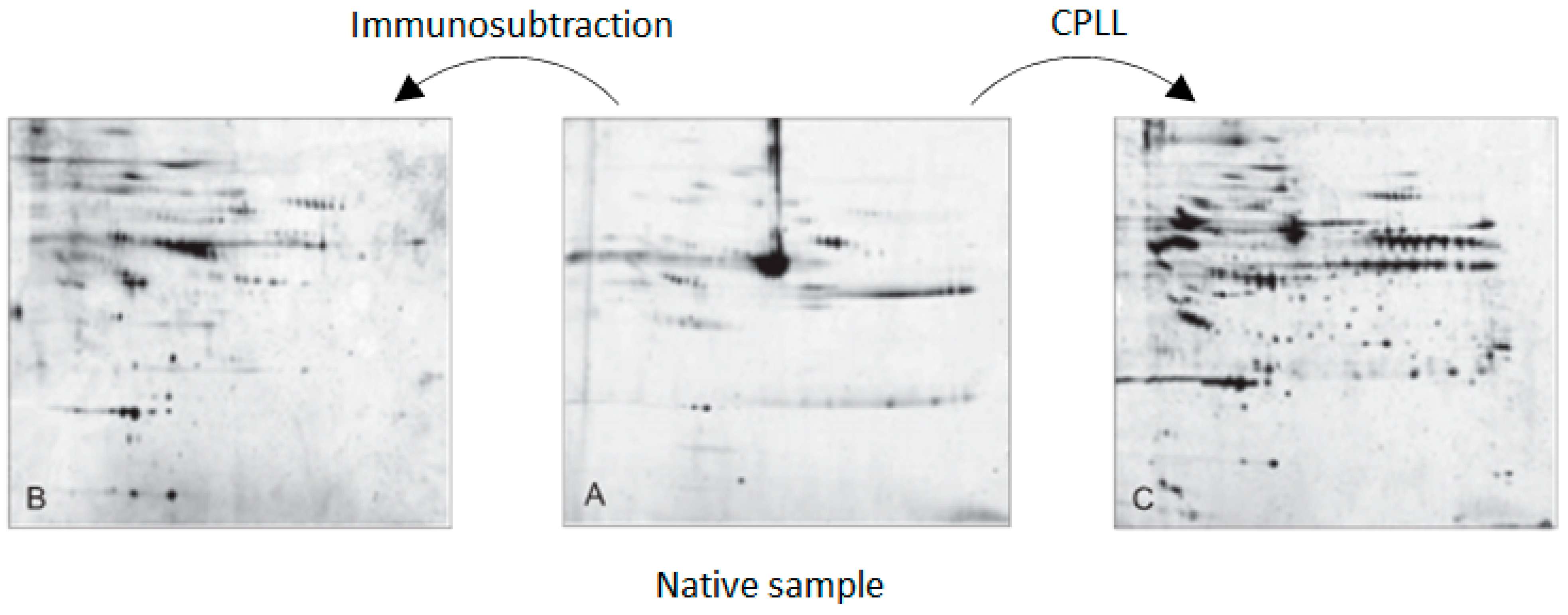 Ijms 24 10329 g002 Ijms 24 10329 g002