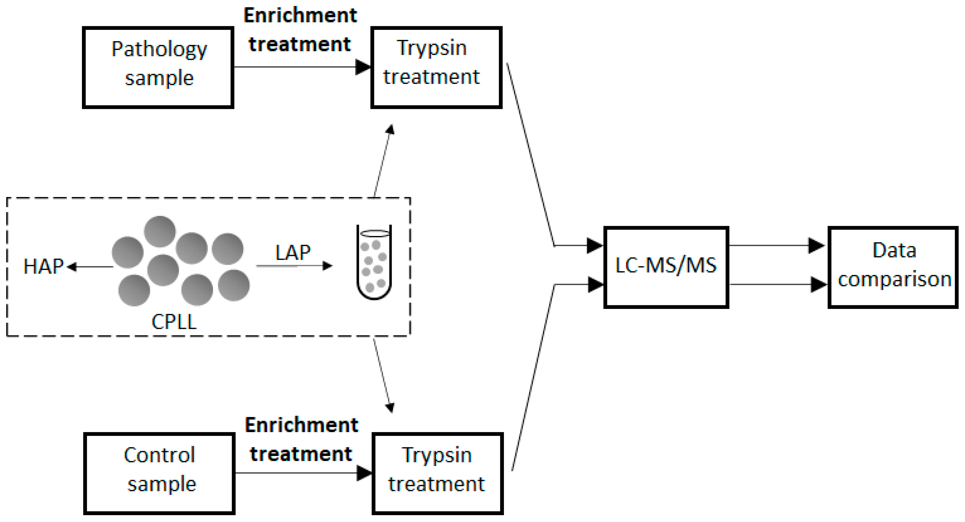 Ijms 24 10329 g003 Ijms 24 10329 g003